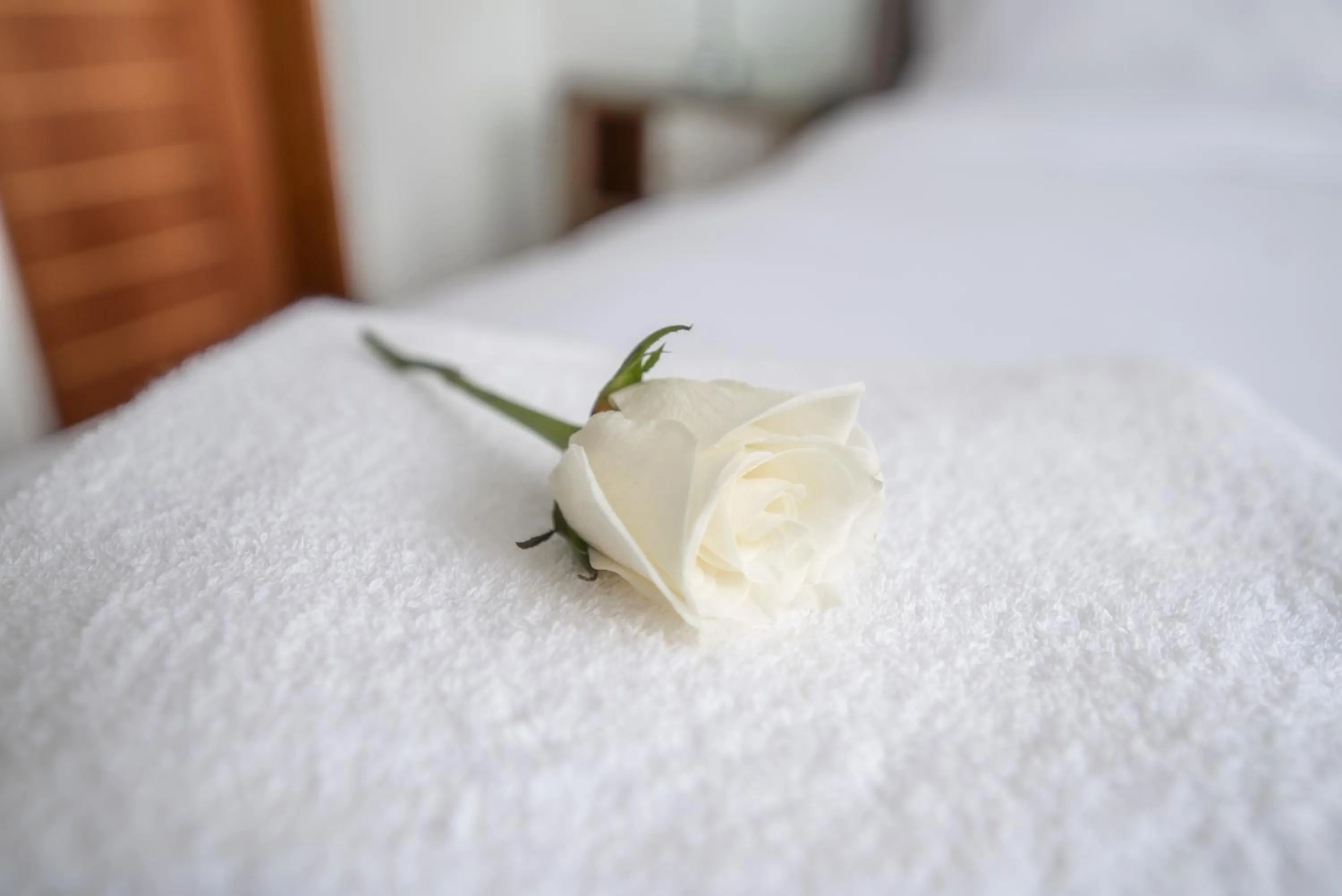 Other in Enclave Apartments 1 Bed by YourHost Nairobi