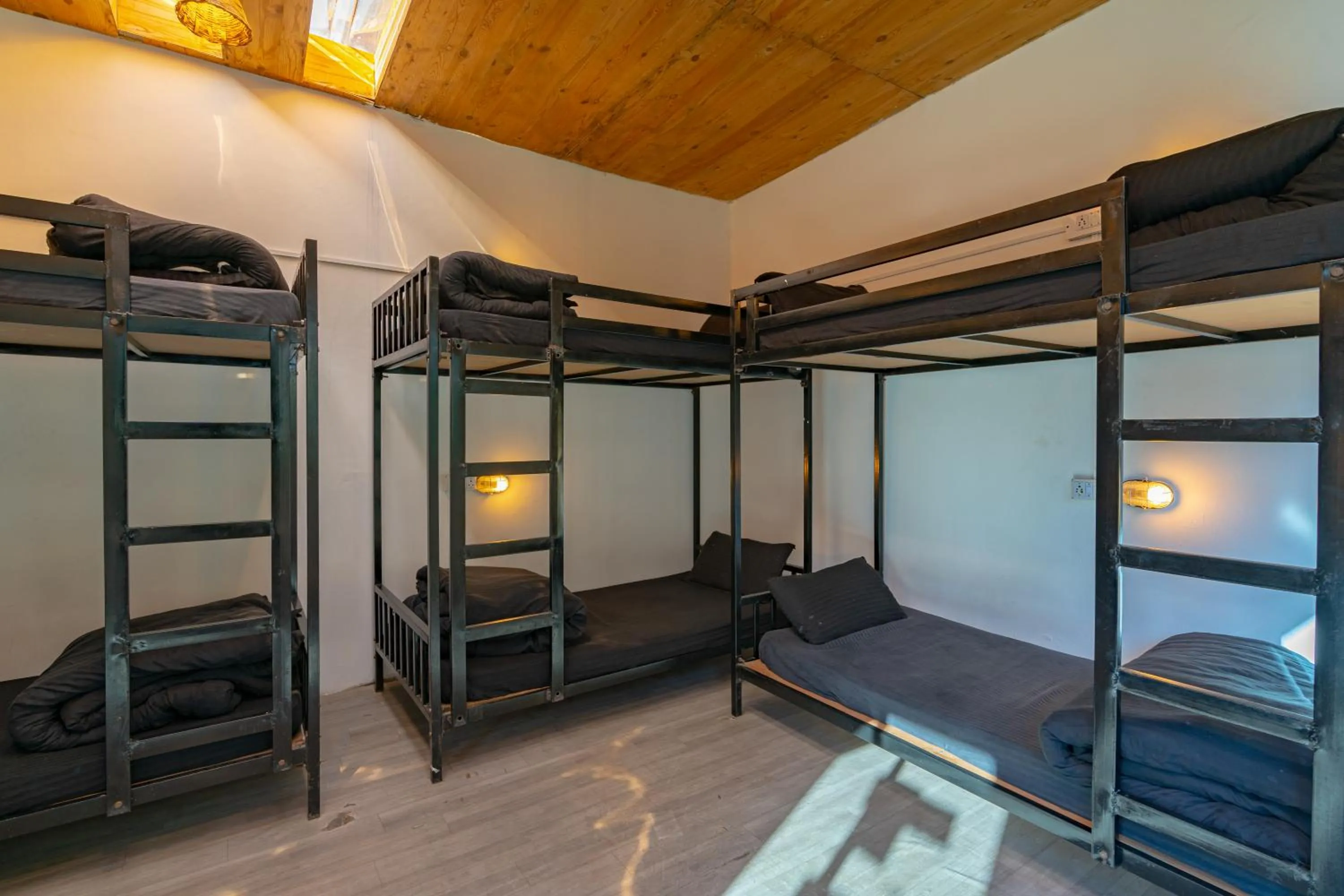 bunk bed, Bed in Jungle Hostel by Whoopers