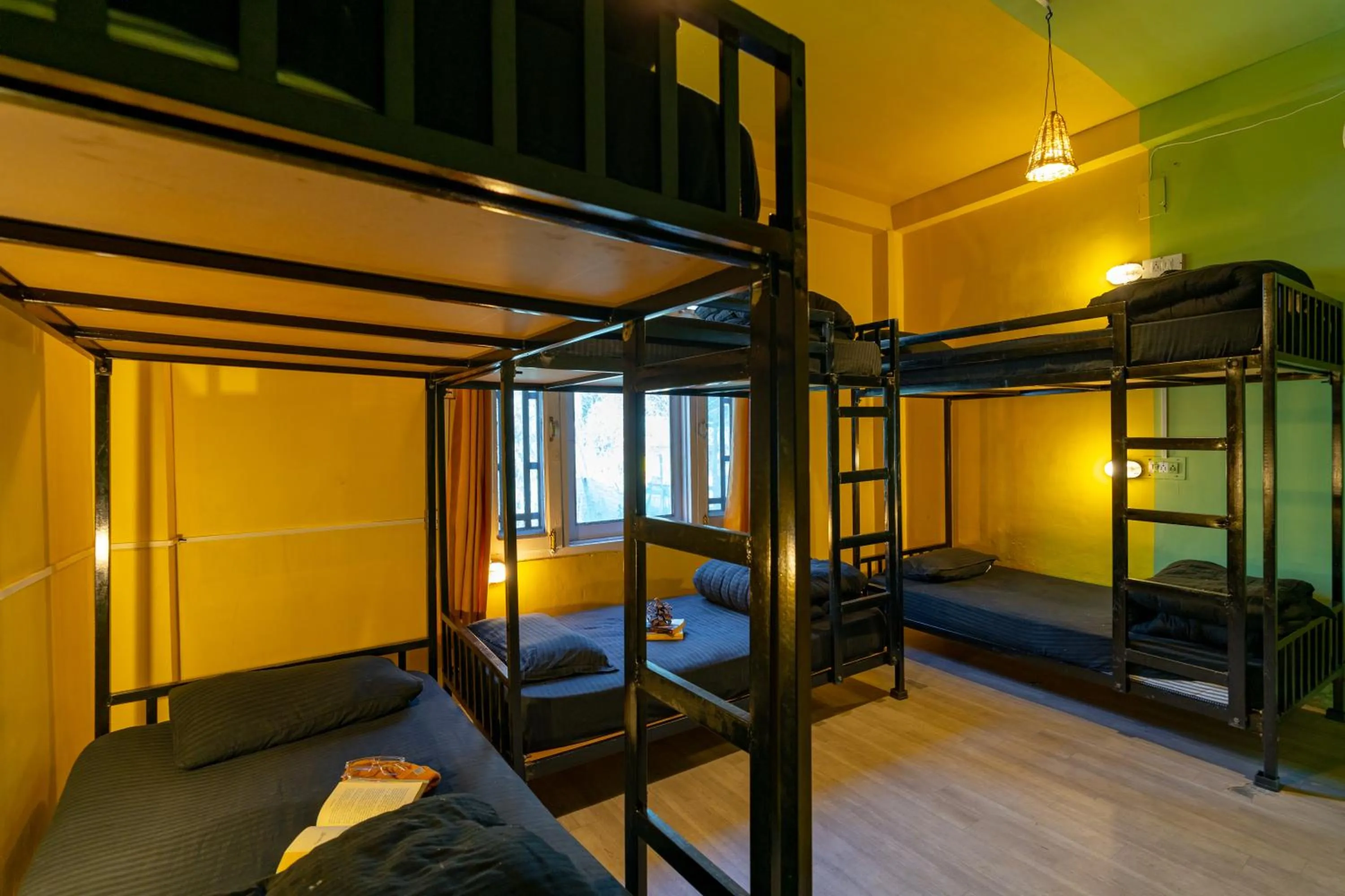 bunk bed, Bed in Jungle Hostel by Whoopers