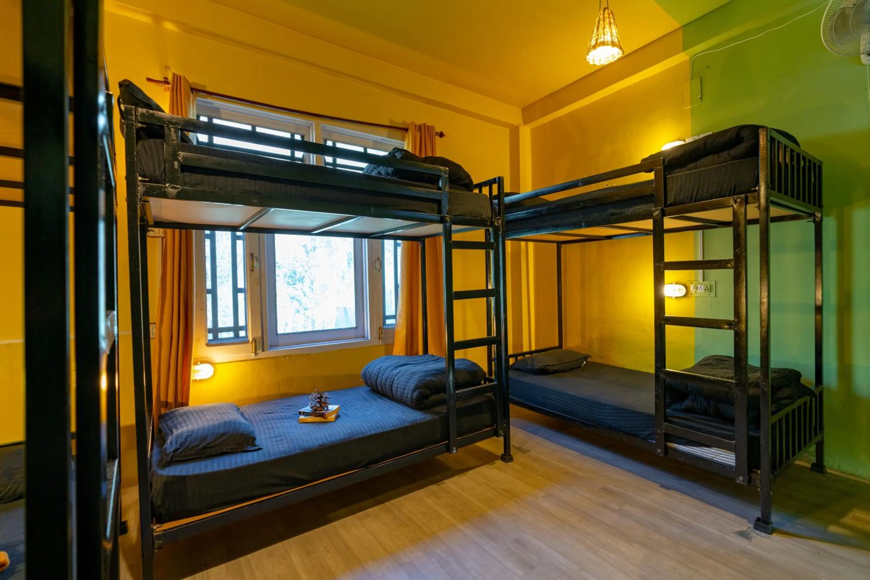 bunk bed, Bed in Jungle Hostel by Whoopers