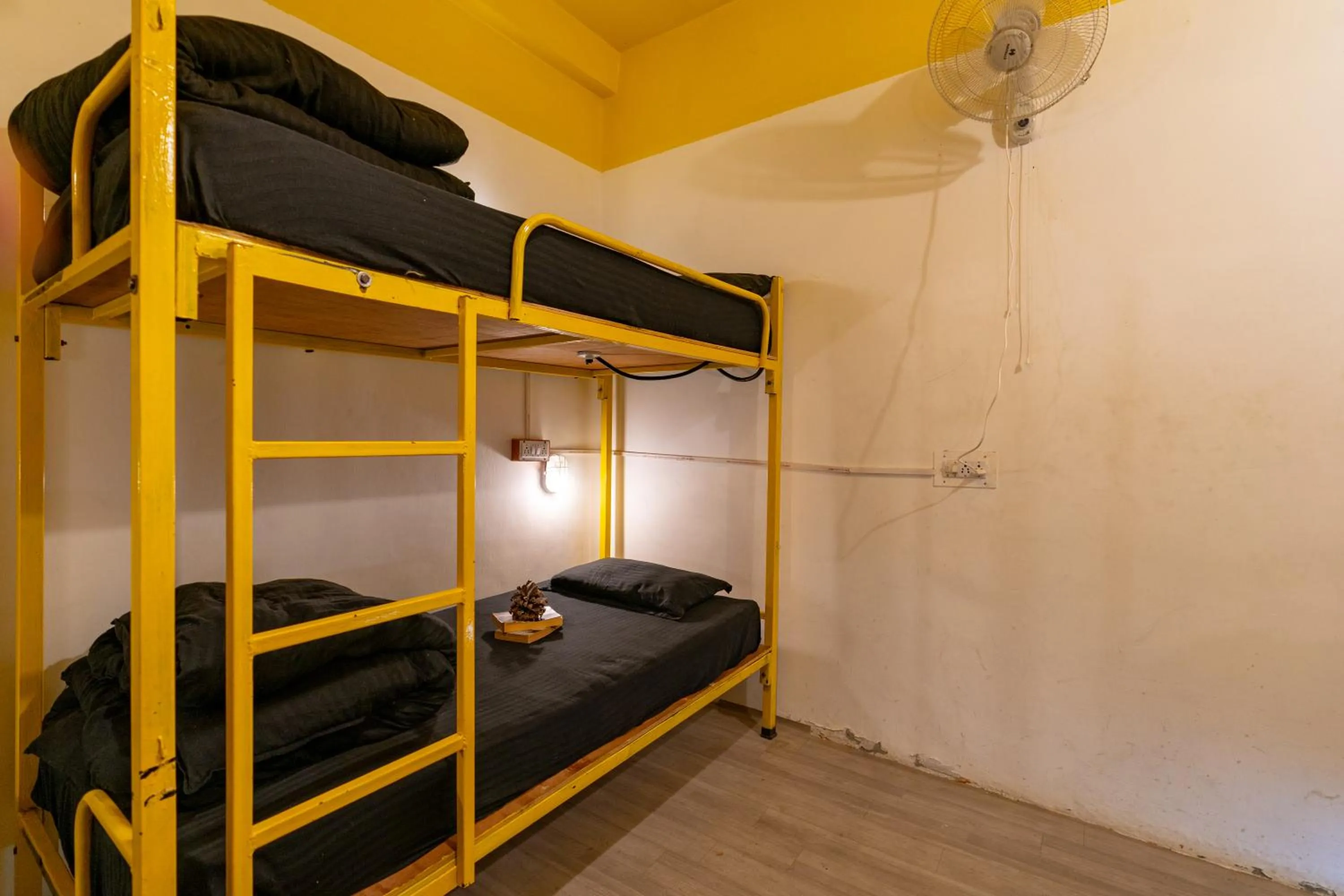 bunk bed, Bed in Jungle Hostel by Whoopers