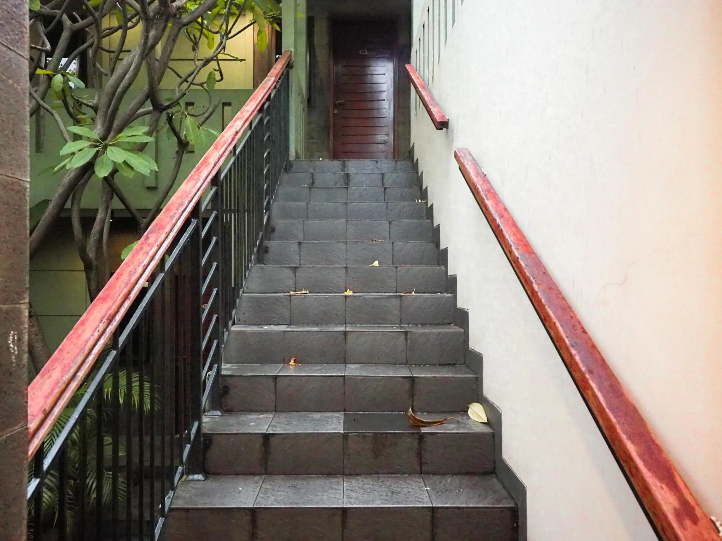 Property building in Rhiz Guest House Tebet