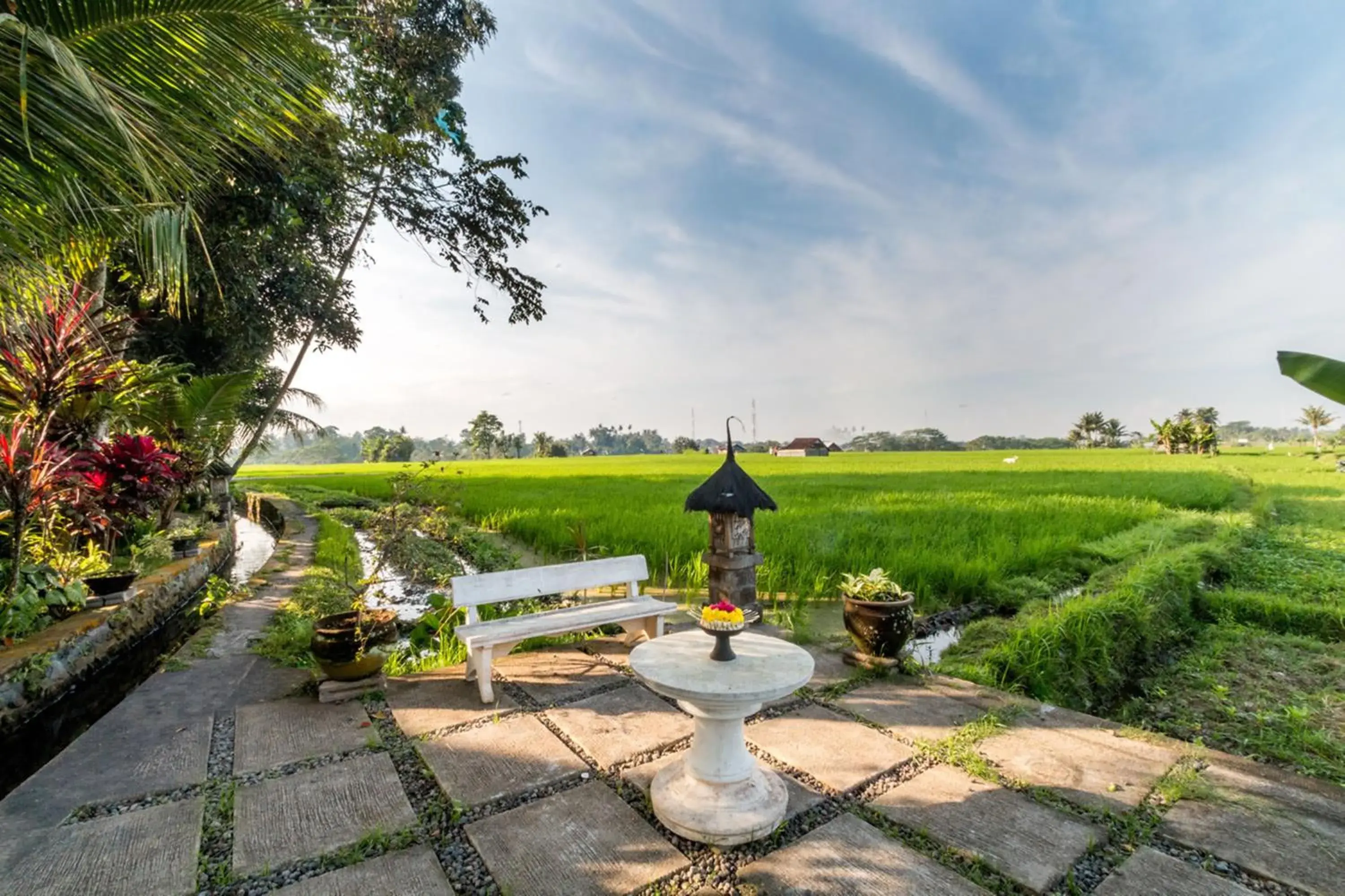 Bird's eye view in Umasari Rice Terrace Villa by AGATA Bird's eye view in Umasari Rice Terrace Villa by AGATA