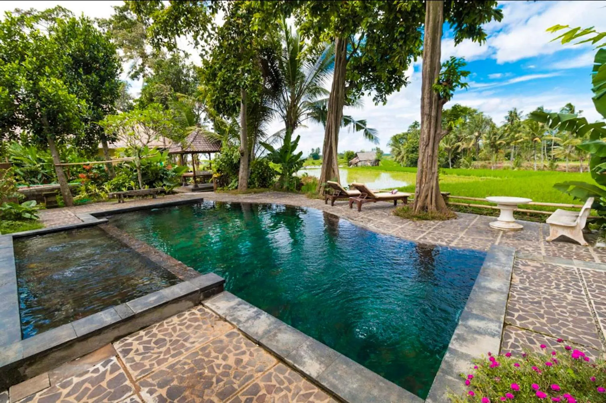 Swimming pool in Umasari Rice Terrace Villa by AGATA