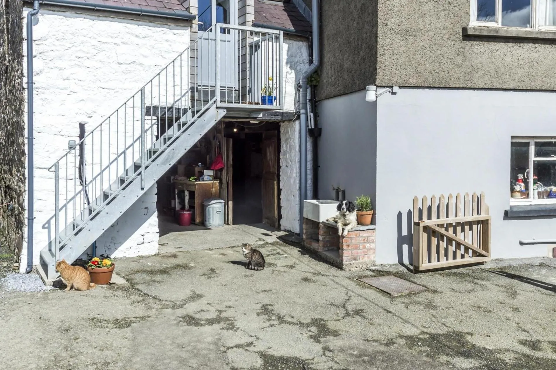 Floor plan in Ashgrove Farm - 1 Bedroom Apartment - Llawhaden - Narberth