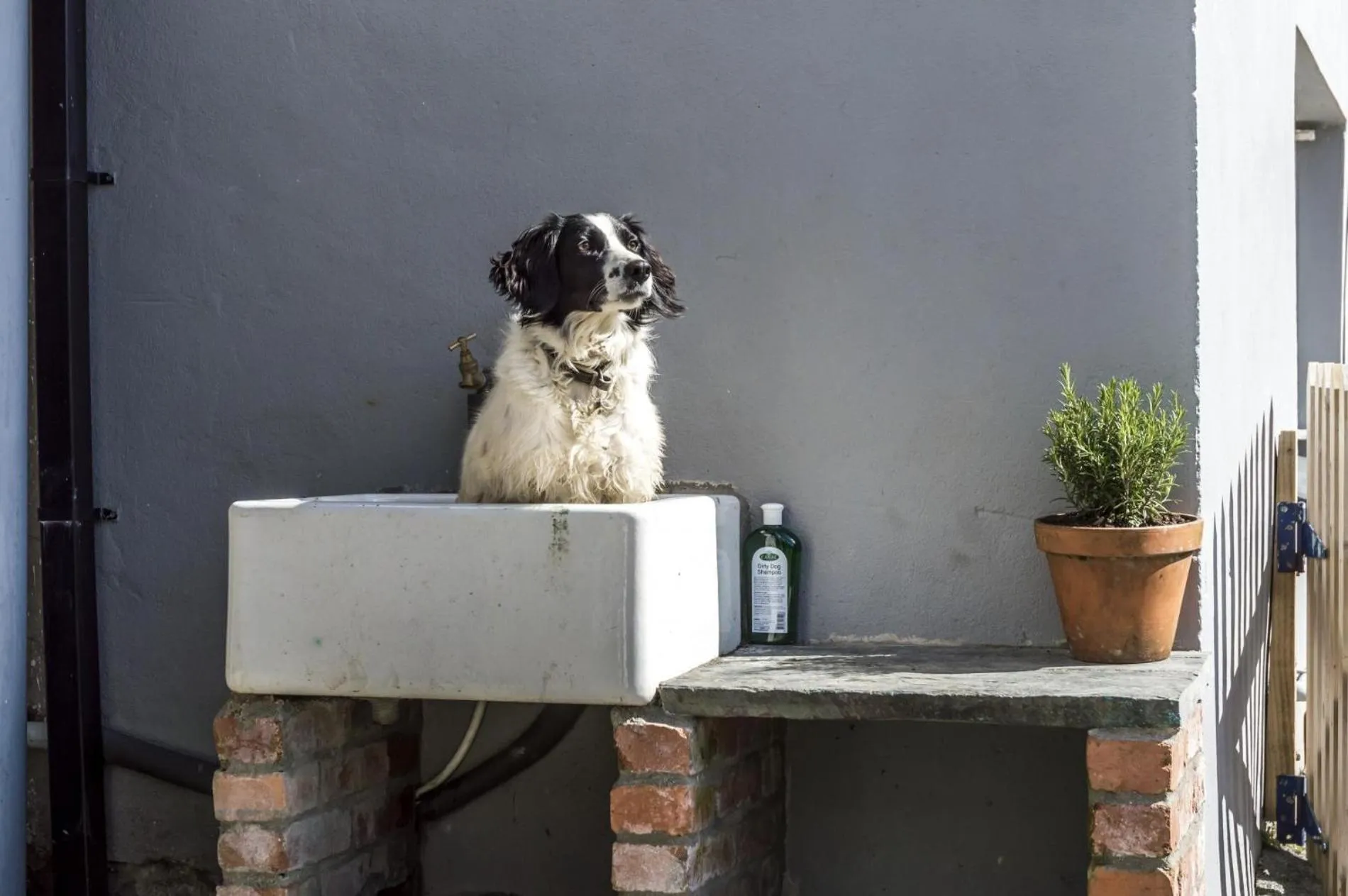 Floor plan in Ashgrove Farm - 1 Bedroom Apartment - Llawhaden - Narberth