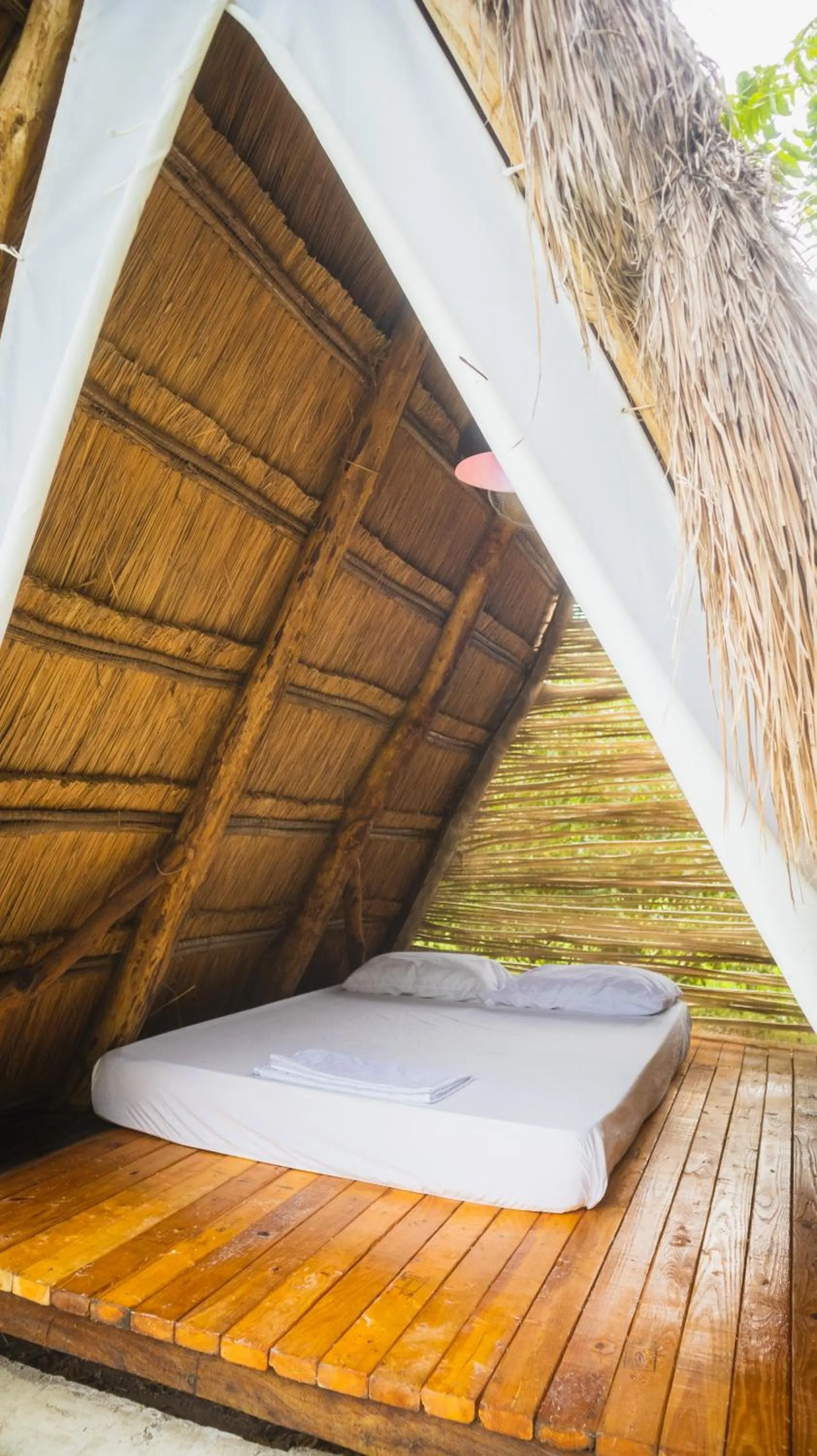 View (from property/room) in AMALIFE Beach Club & Hotel