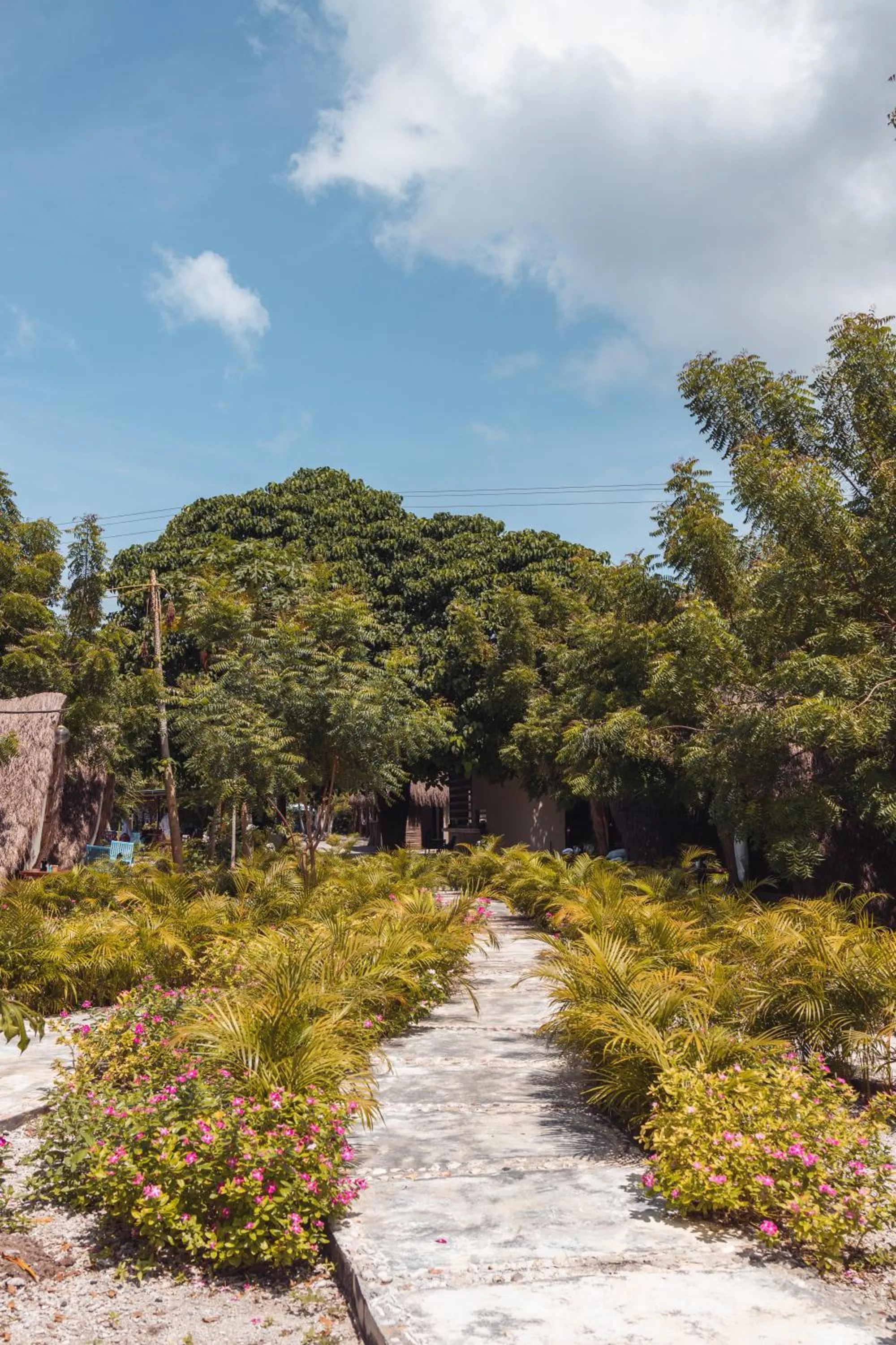 Property building in AMALIFE Beach Club & Hotel