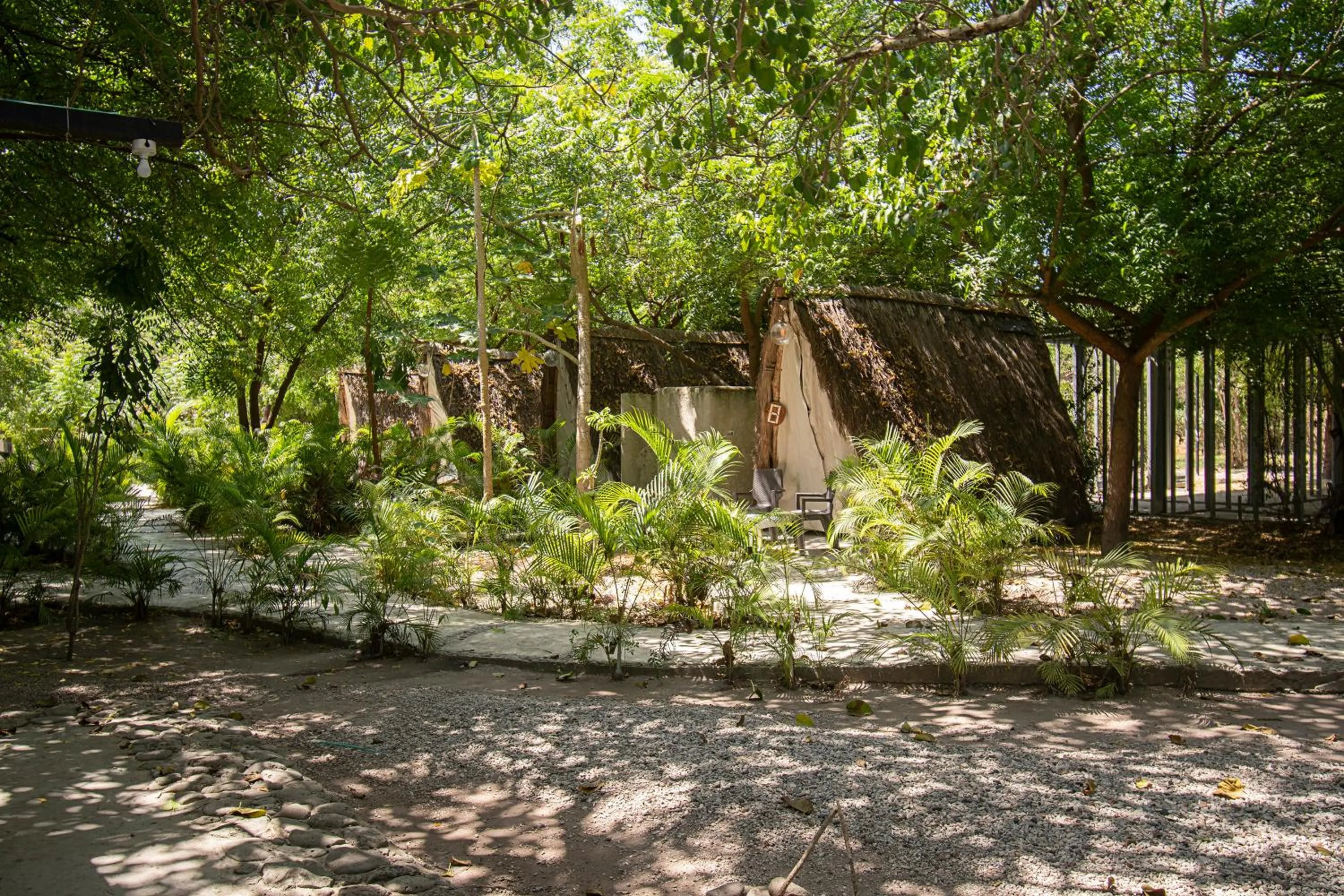 Garden in Santuario Beach Hostel