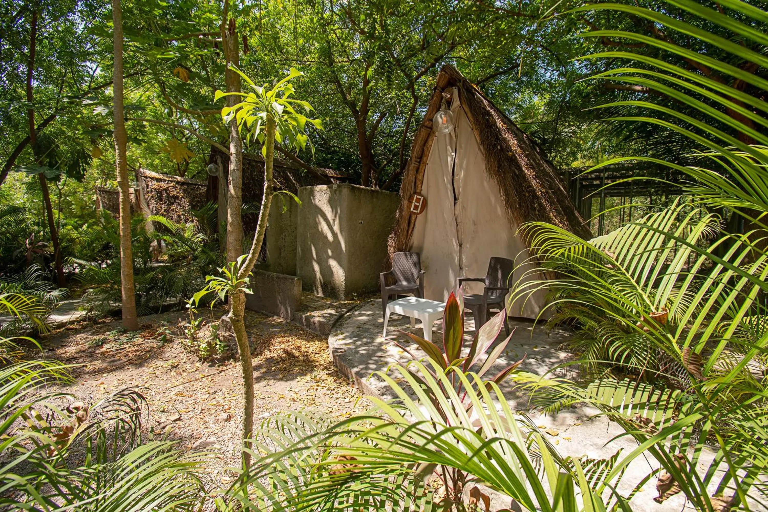 Bedroom in Santuario Beach Hostel