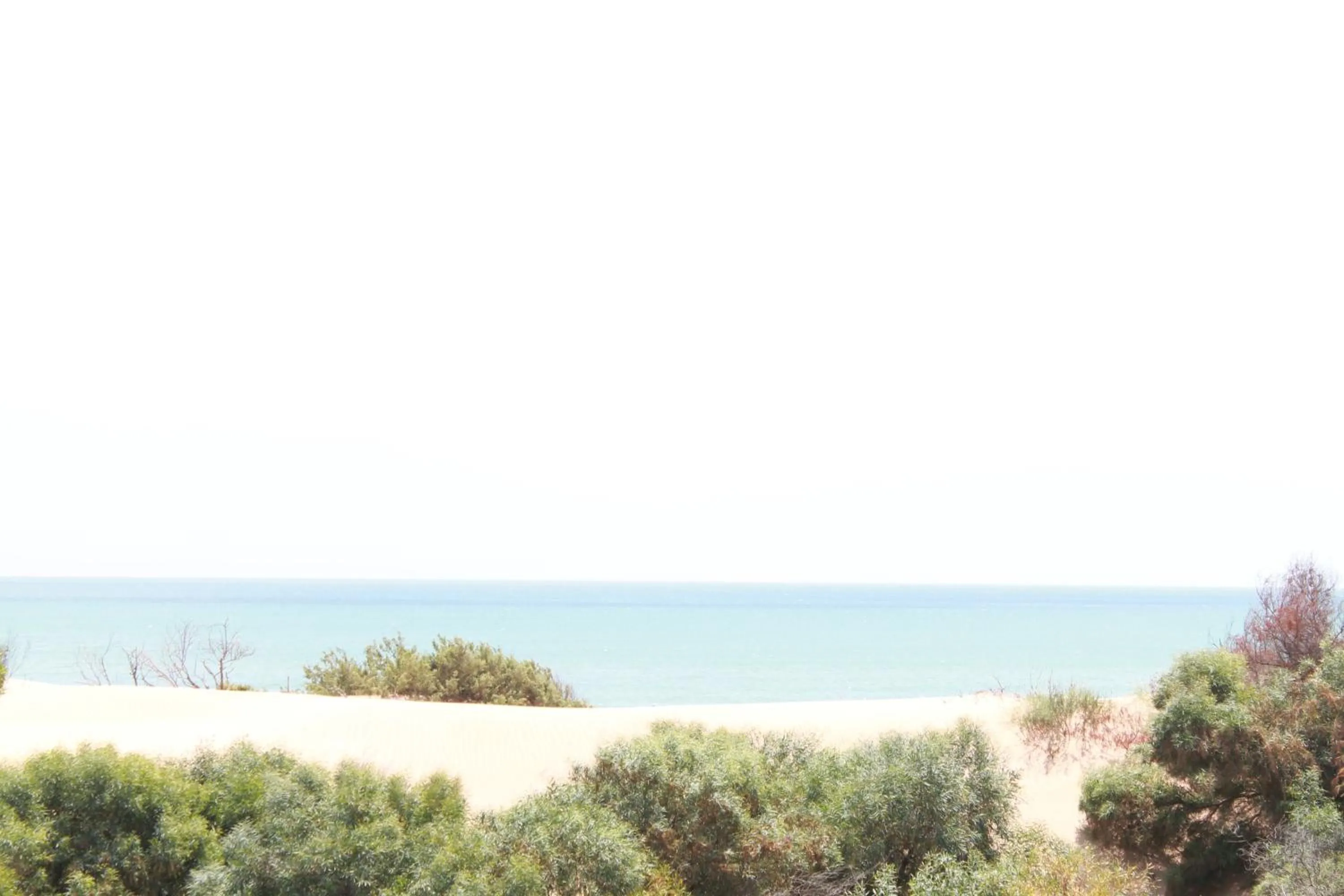 Day in Le Dune Residence