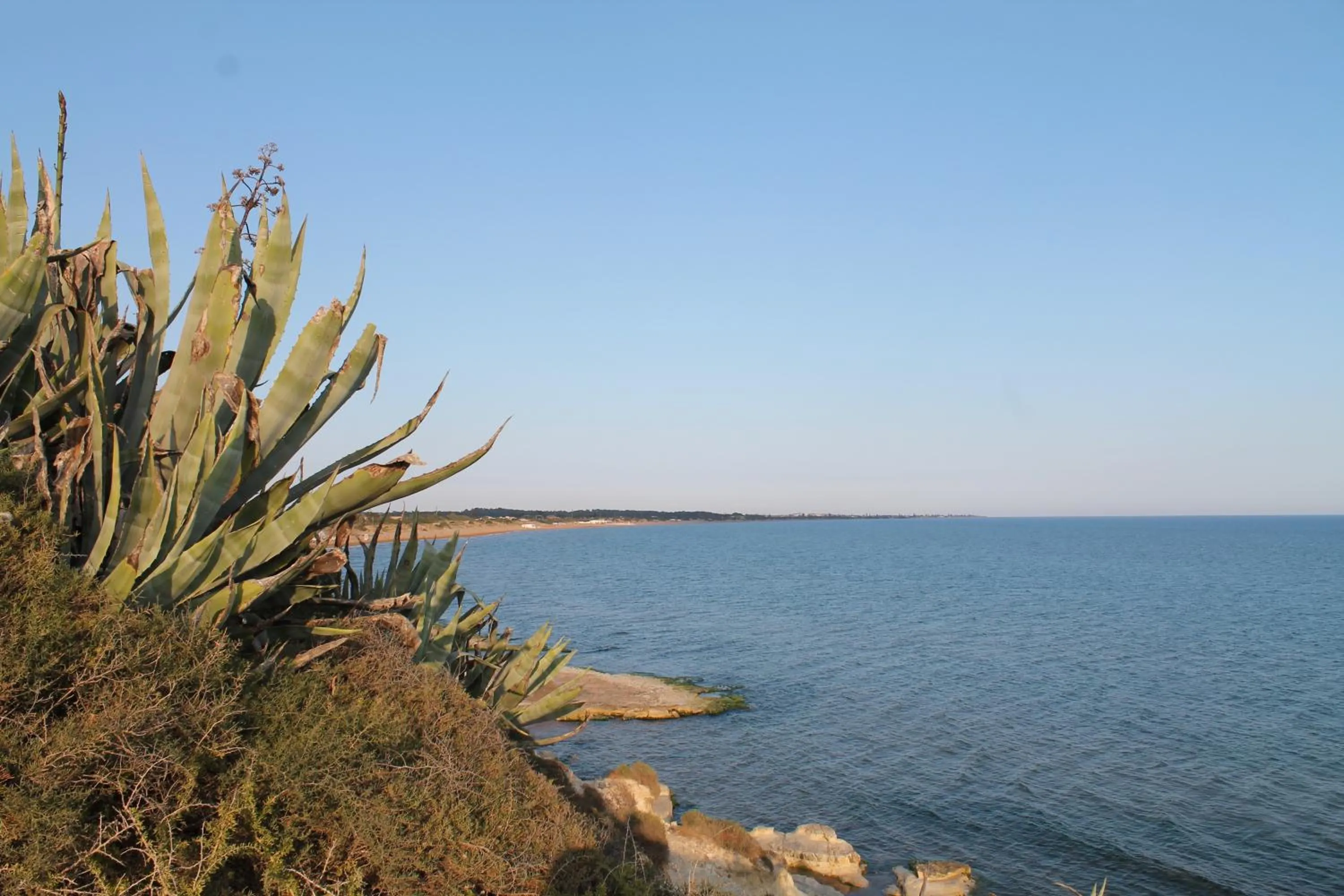 Natural landscape in Le Dune Residence