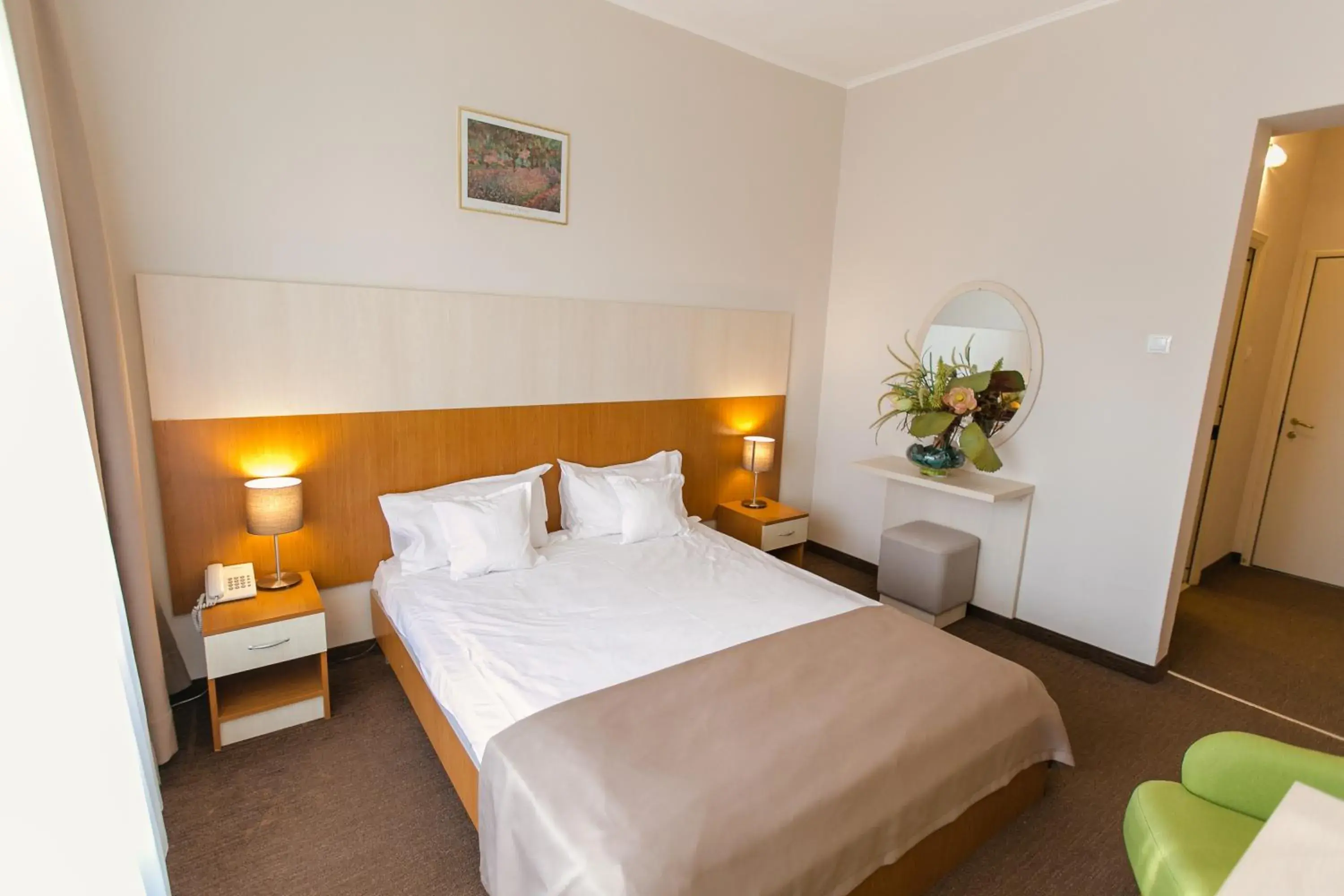 Single Room in Hotel Nufarul Single Room in Hotel Nufarul