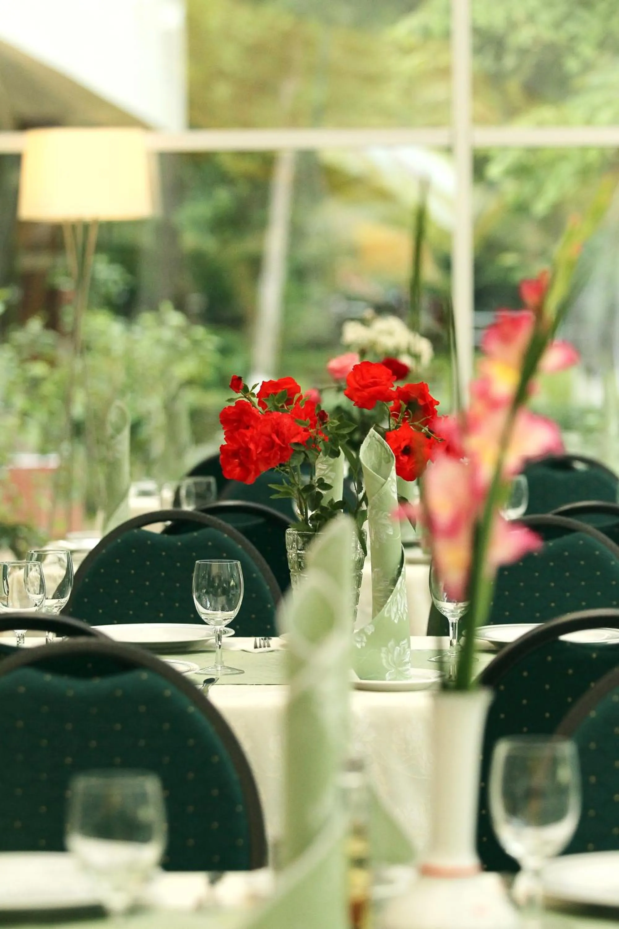 Dining area in Hotel Nufarul