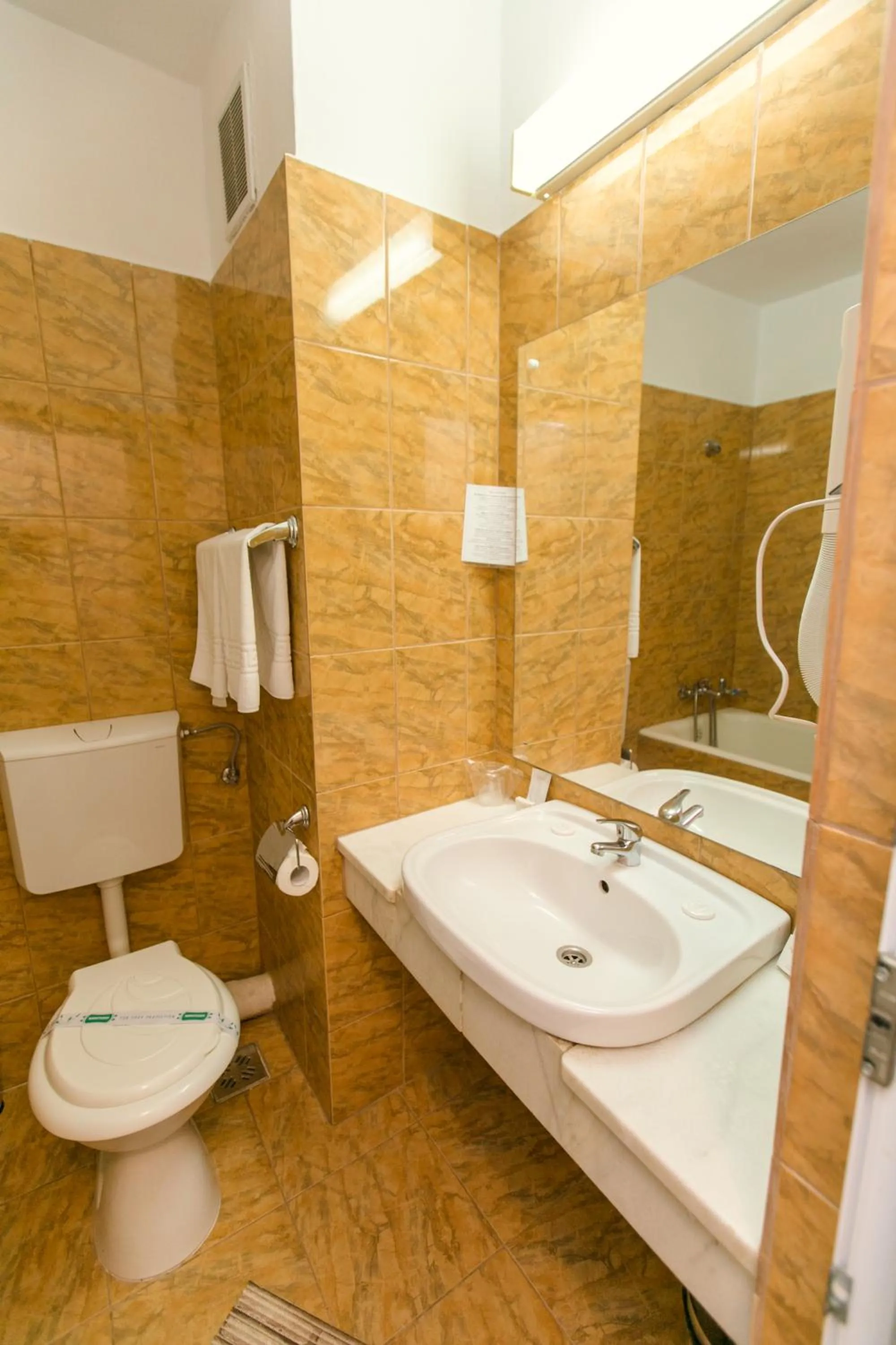 Bathroom in Hotel Poienița