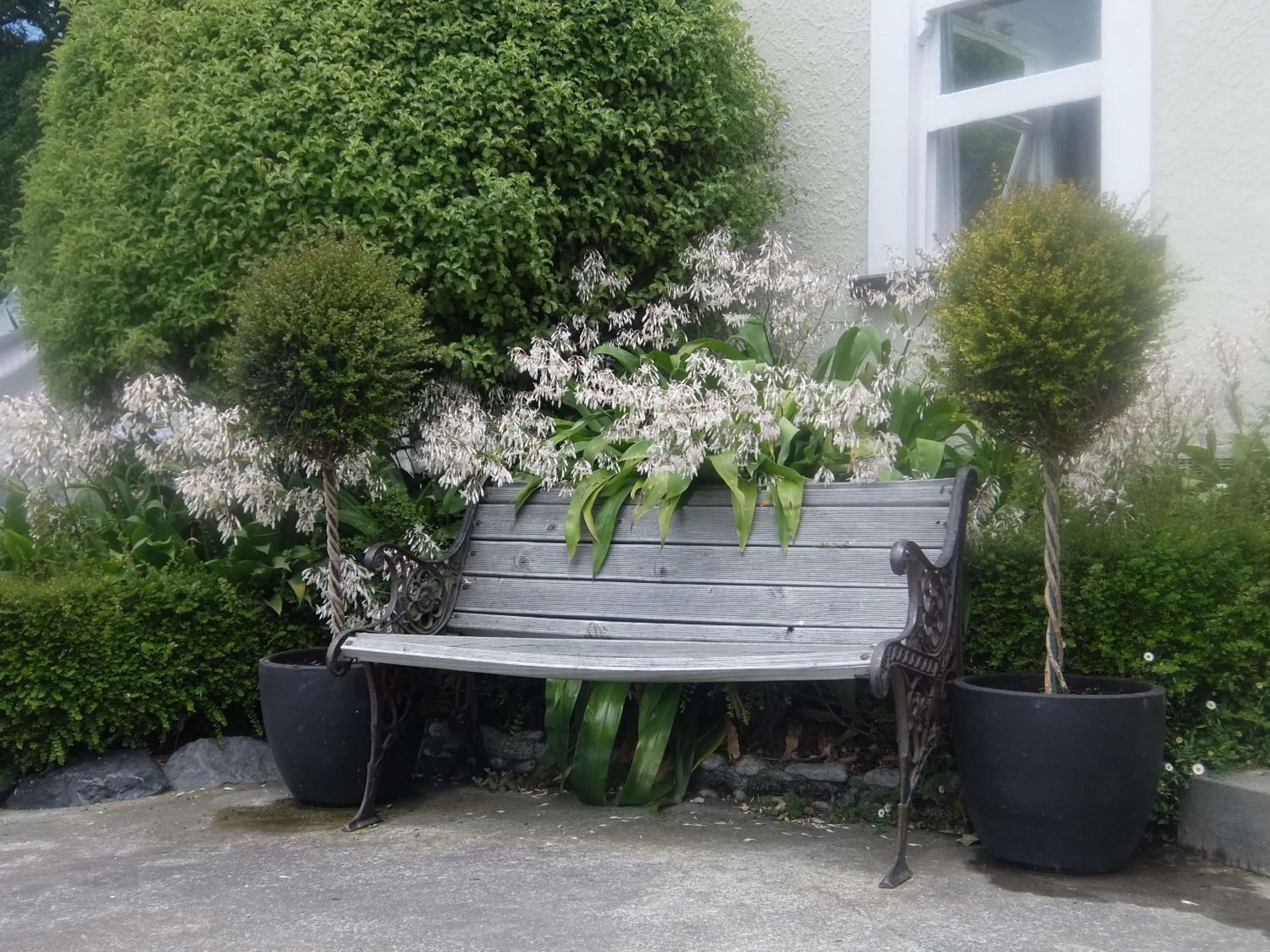 Garden in The Point B&B