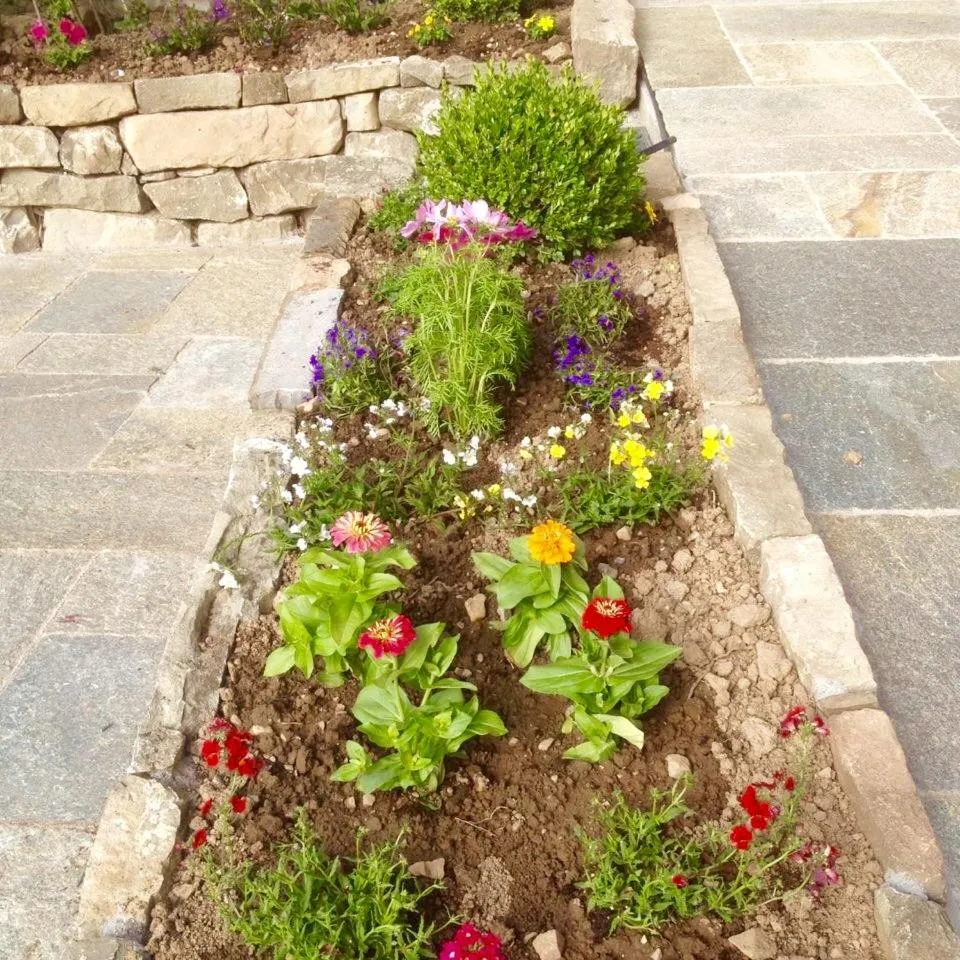 Chambres d'hôtes l'Abondance