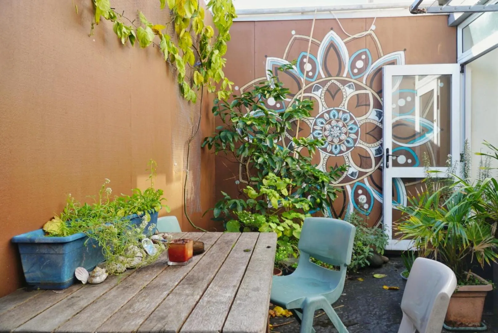 Garden in Ariki Backpackers