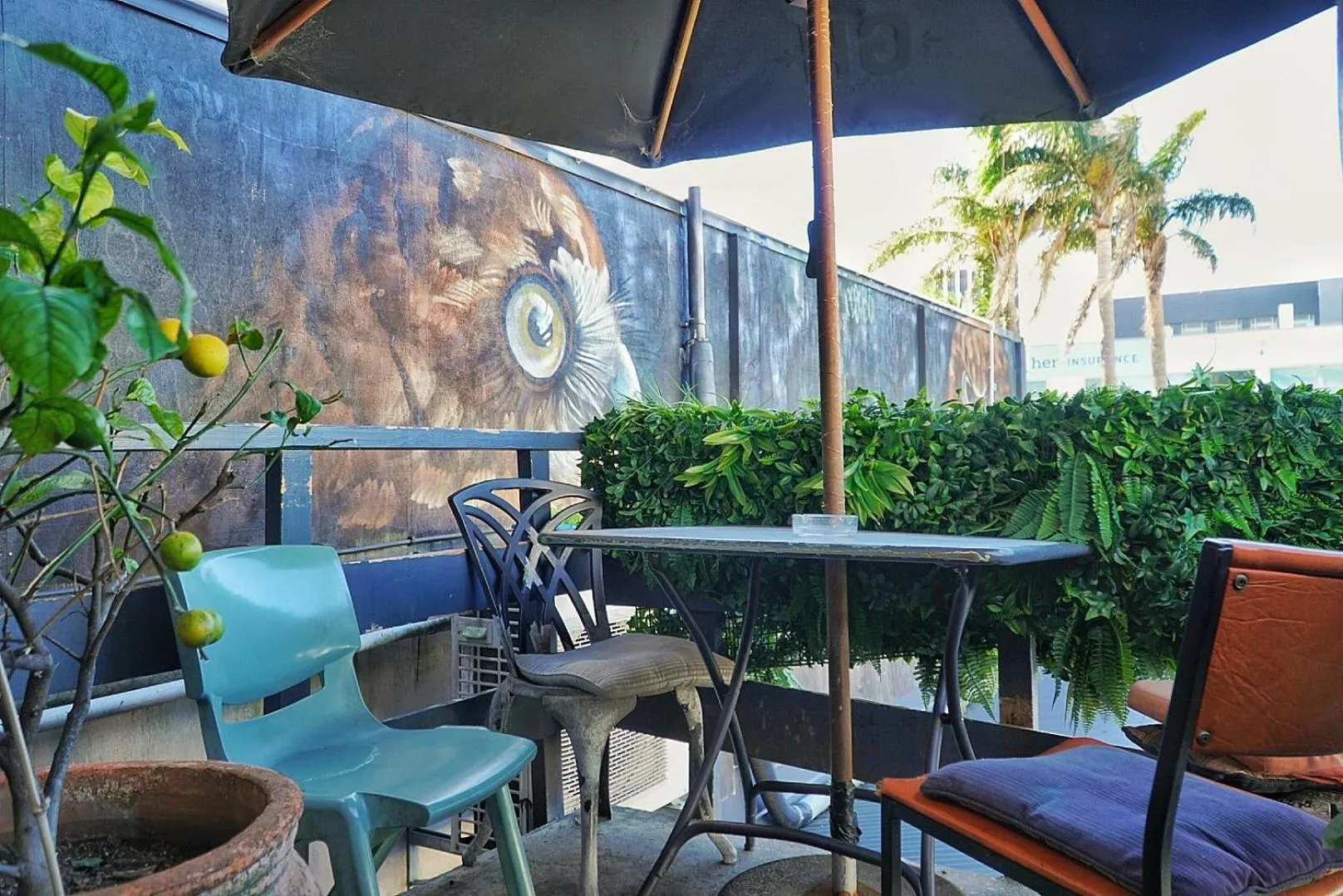 Balcony/Terrace in Ariki Backpackers