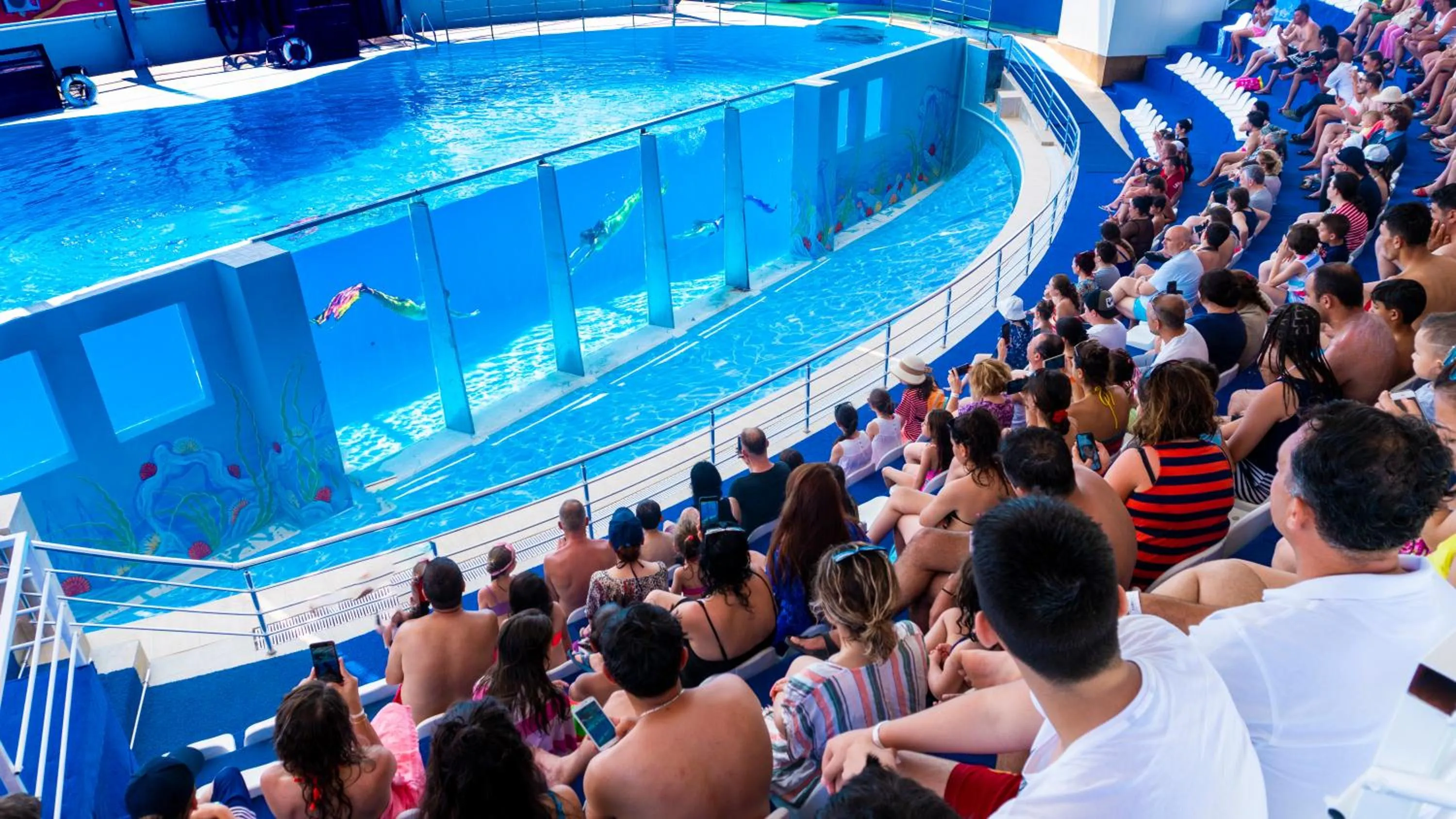 Activities in Daima Biz Hotel - Dolusu Aquapark Access