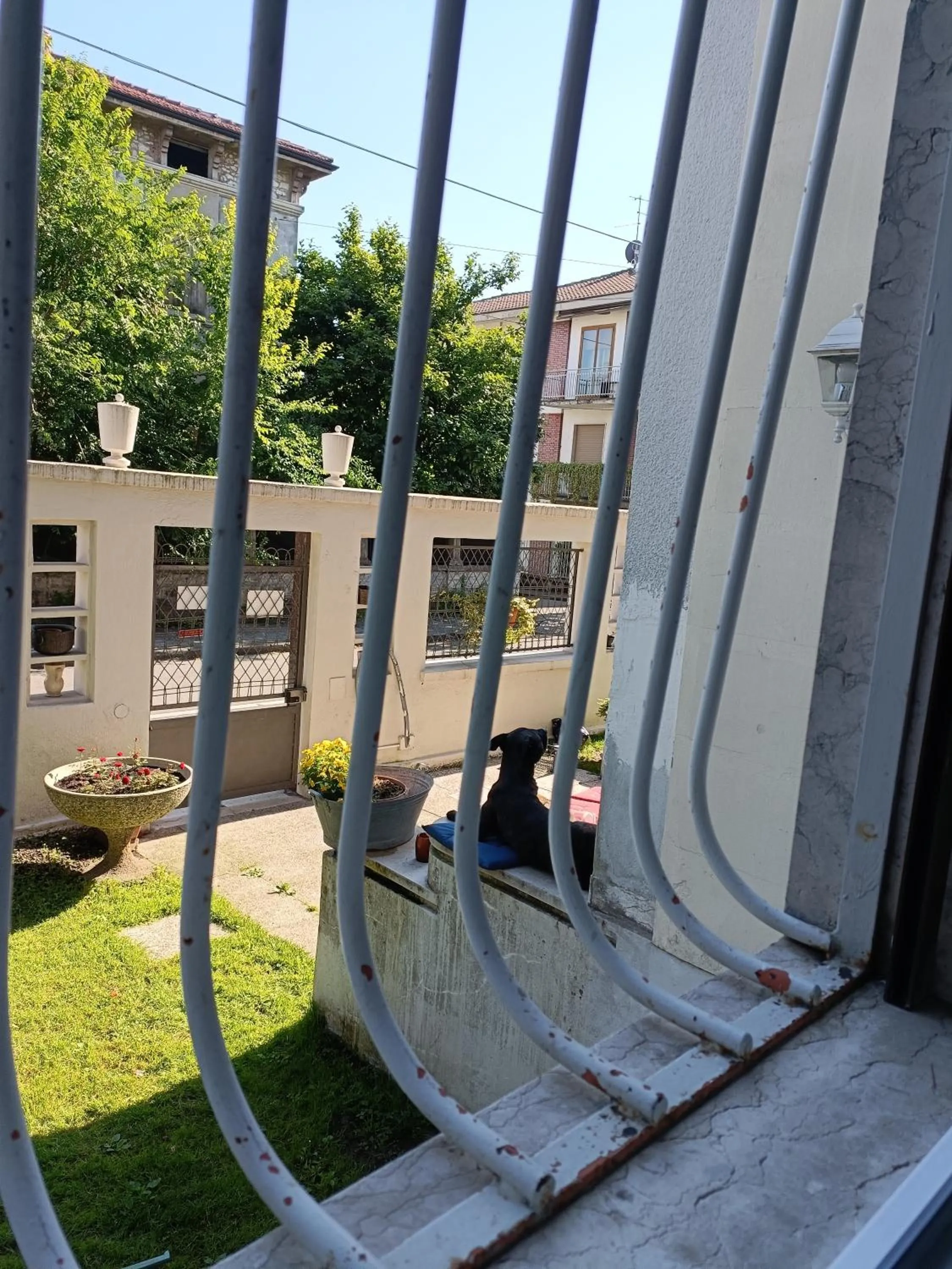 Property building in B&B Mavipagi