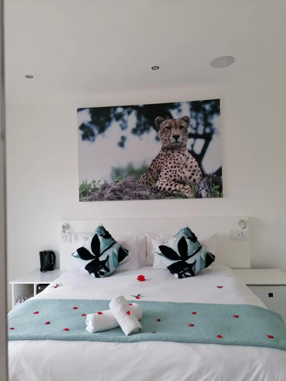 Bed in theLAB Robertson