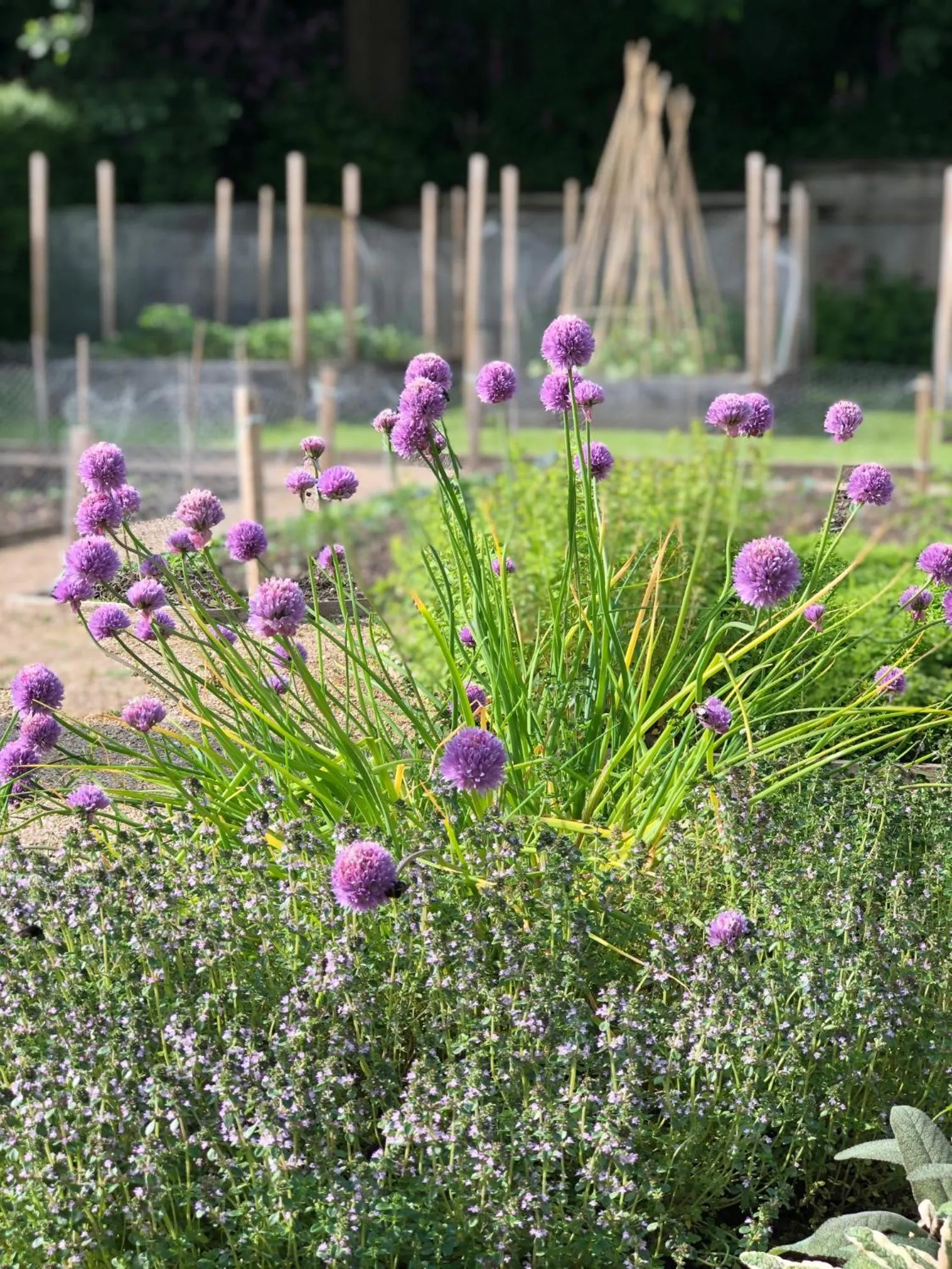 Garden in Wildhive Callow Hall