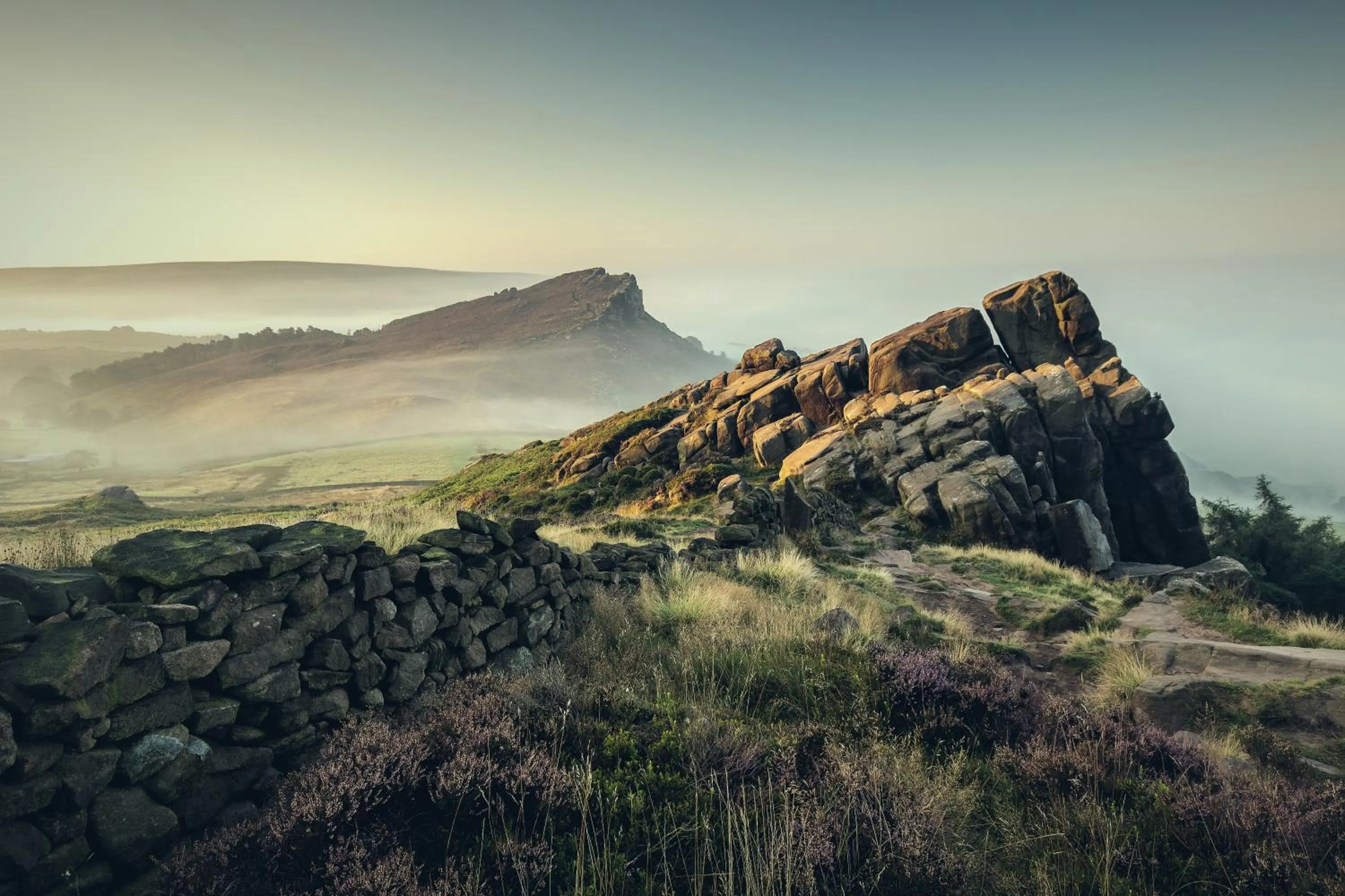 Natural landscape in Wildhive Callow Hall