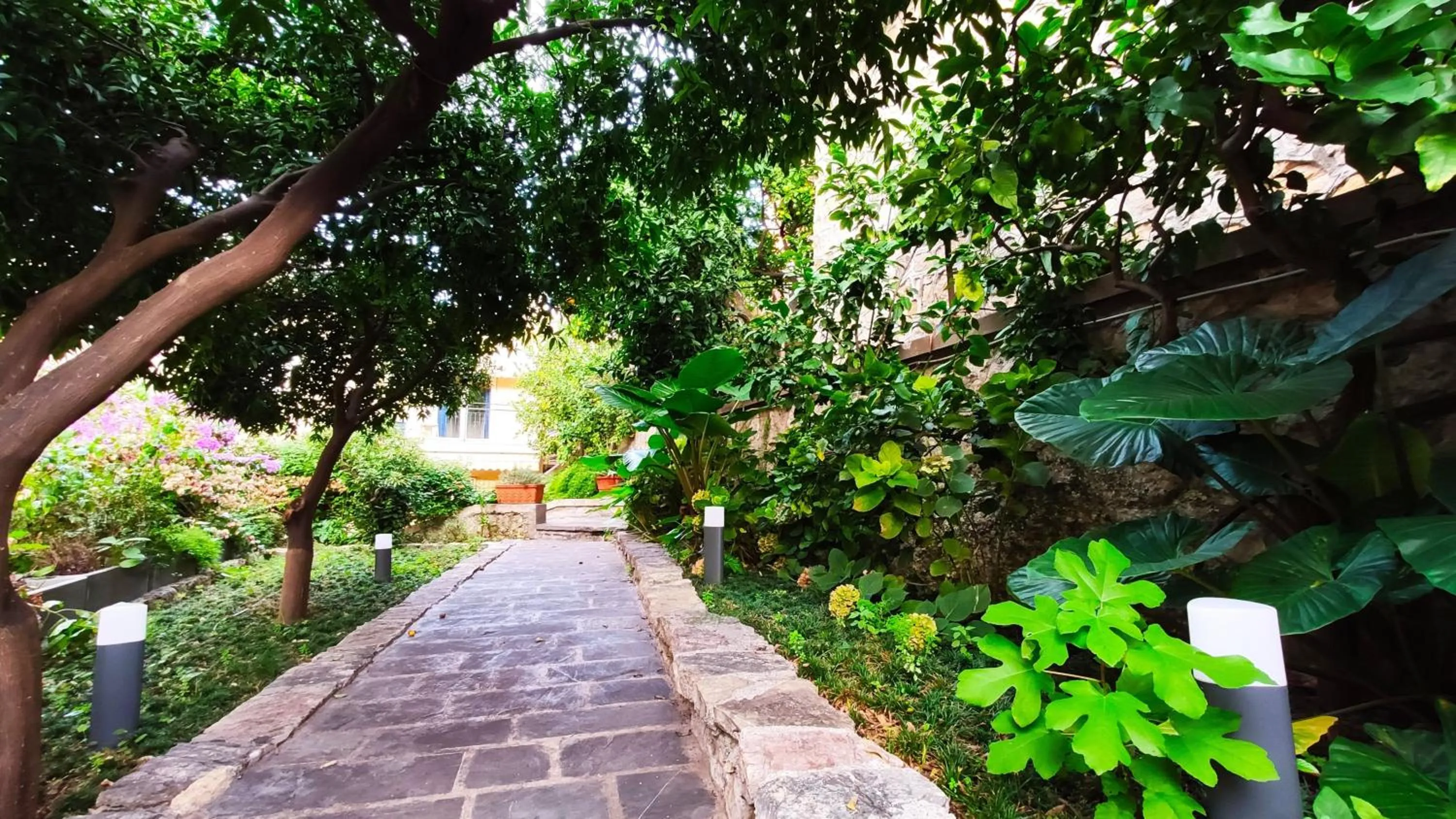Facade/entrance in Residence Mare Azzurro