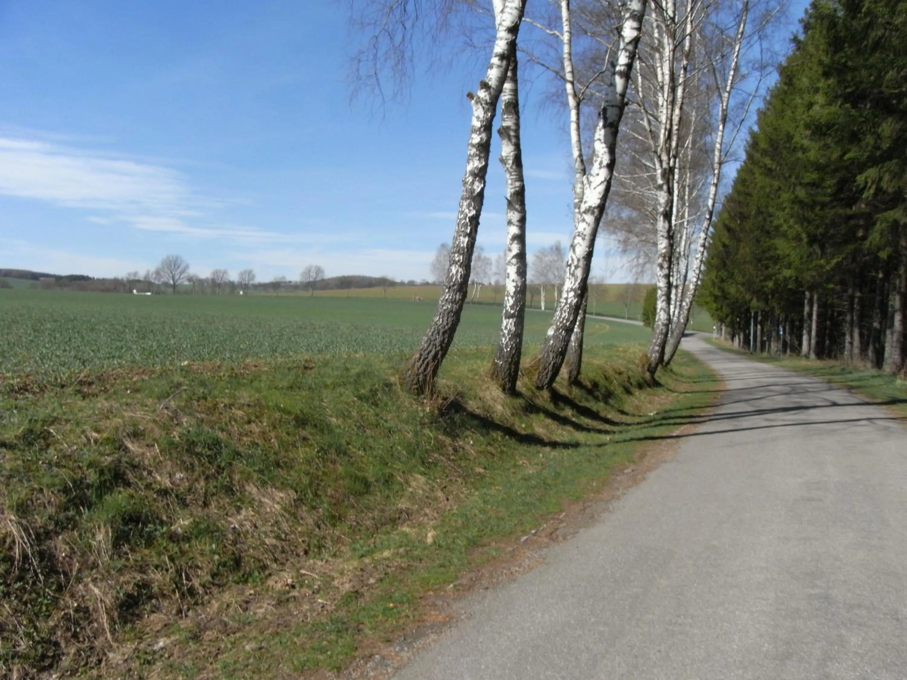Natural landscape in Hotel Seiffener Hof***