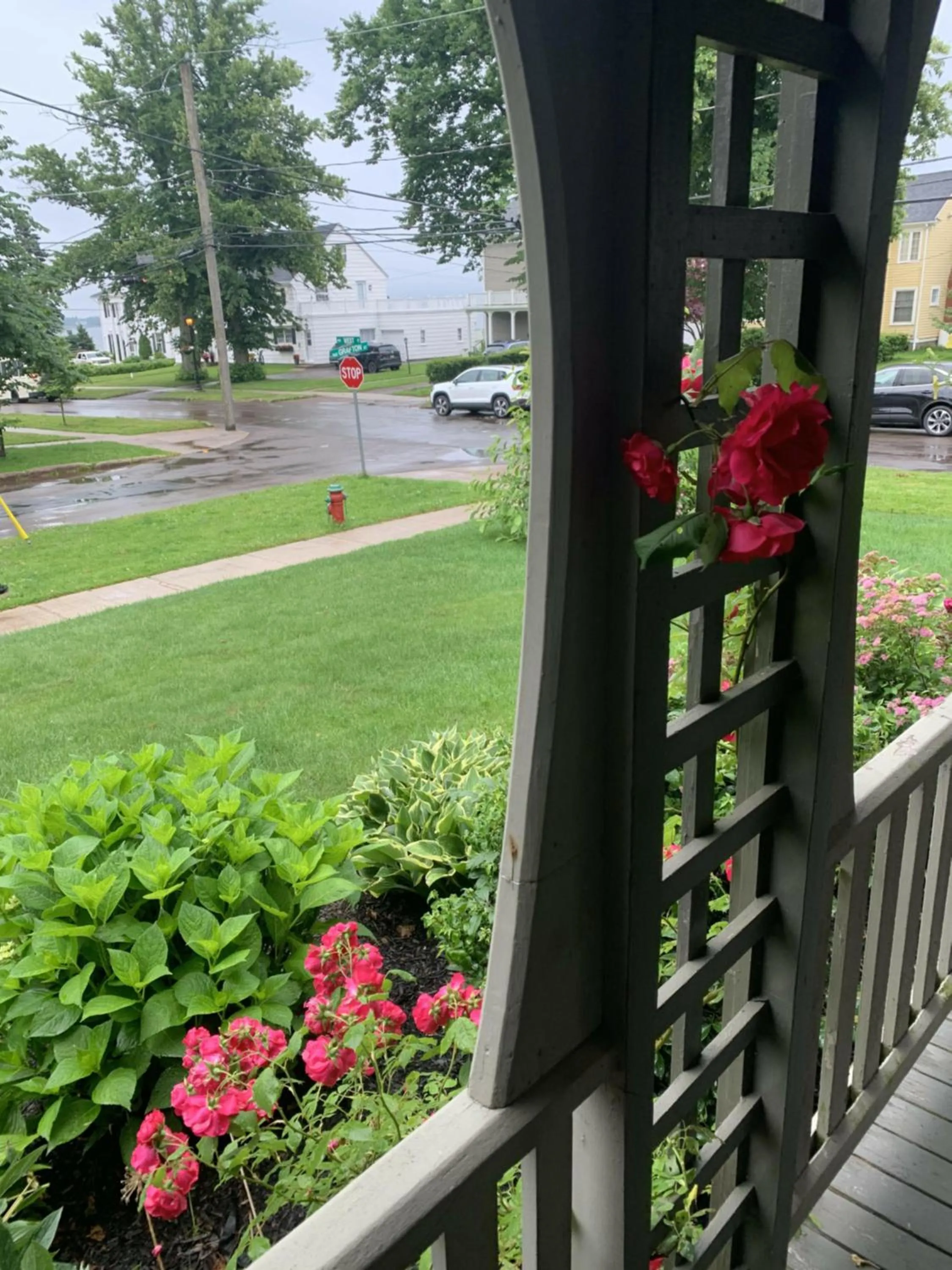 Garden view in No 1 Grafton Inn