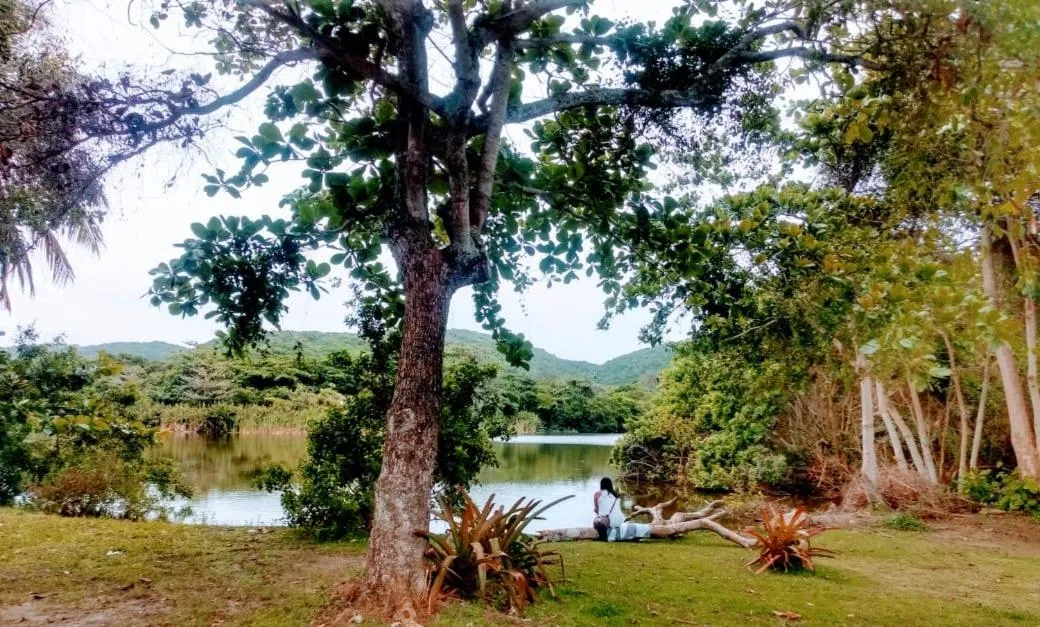 Garden in Casa de Praia