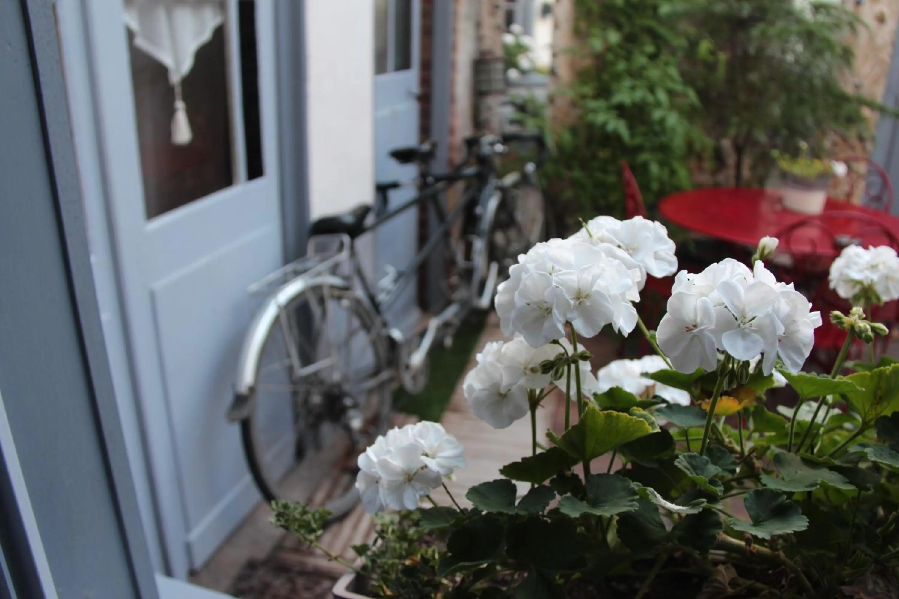 Property building in Les Capucines