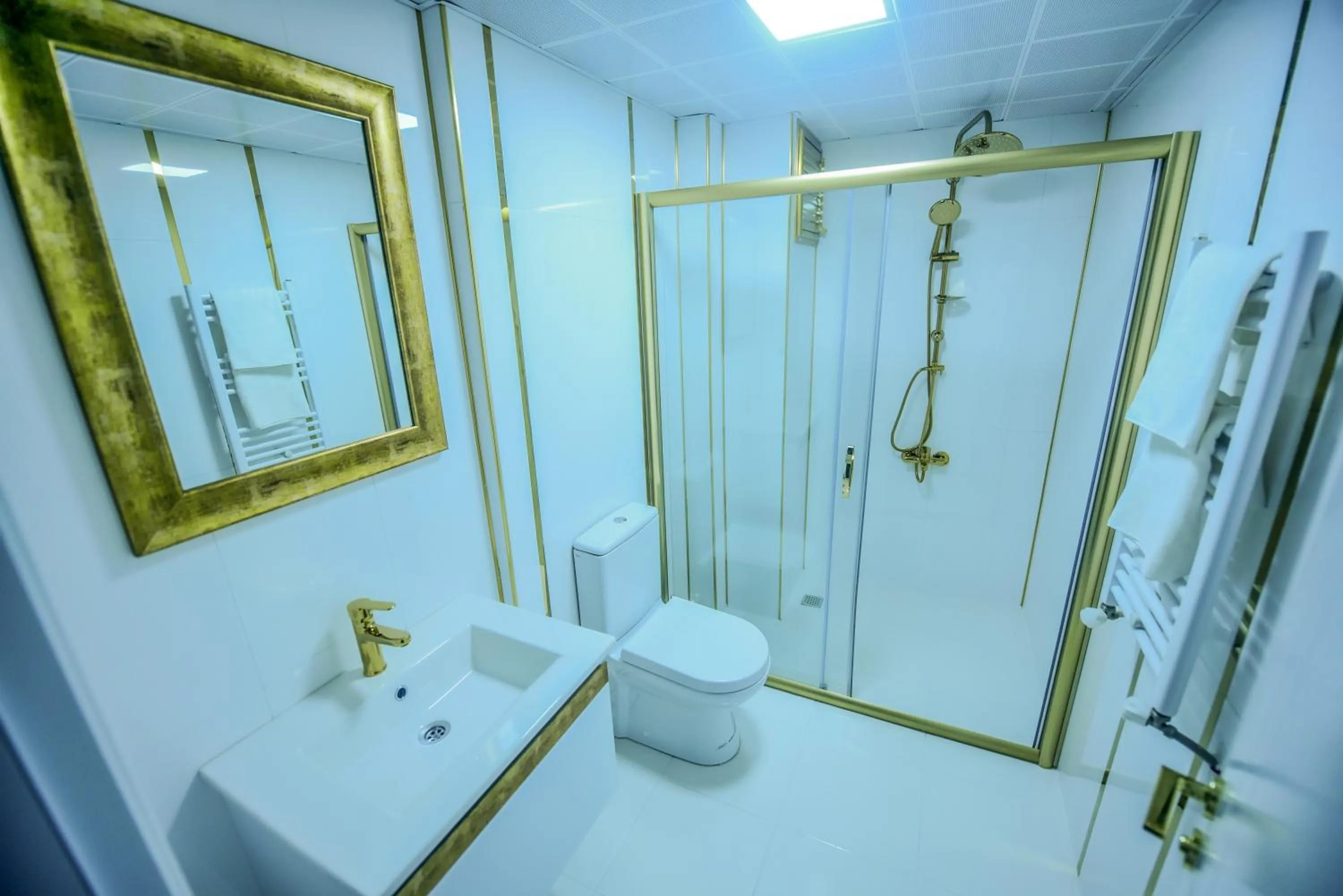 Shower in Rosa Therapy Butik Otel