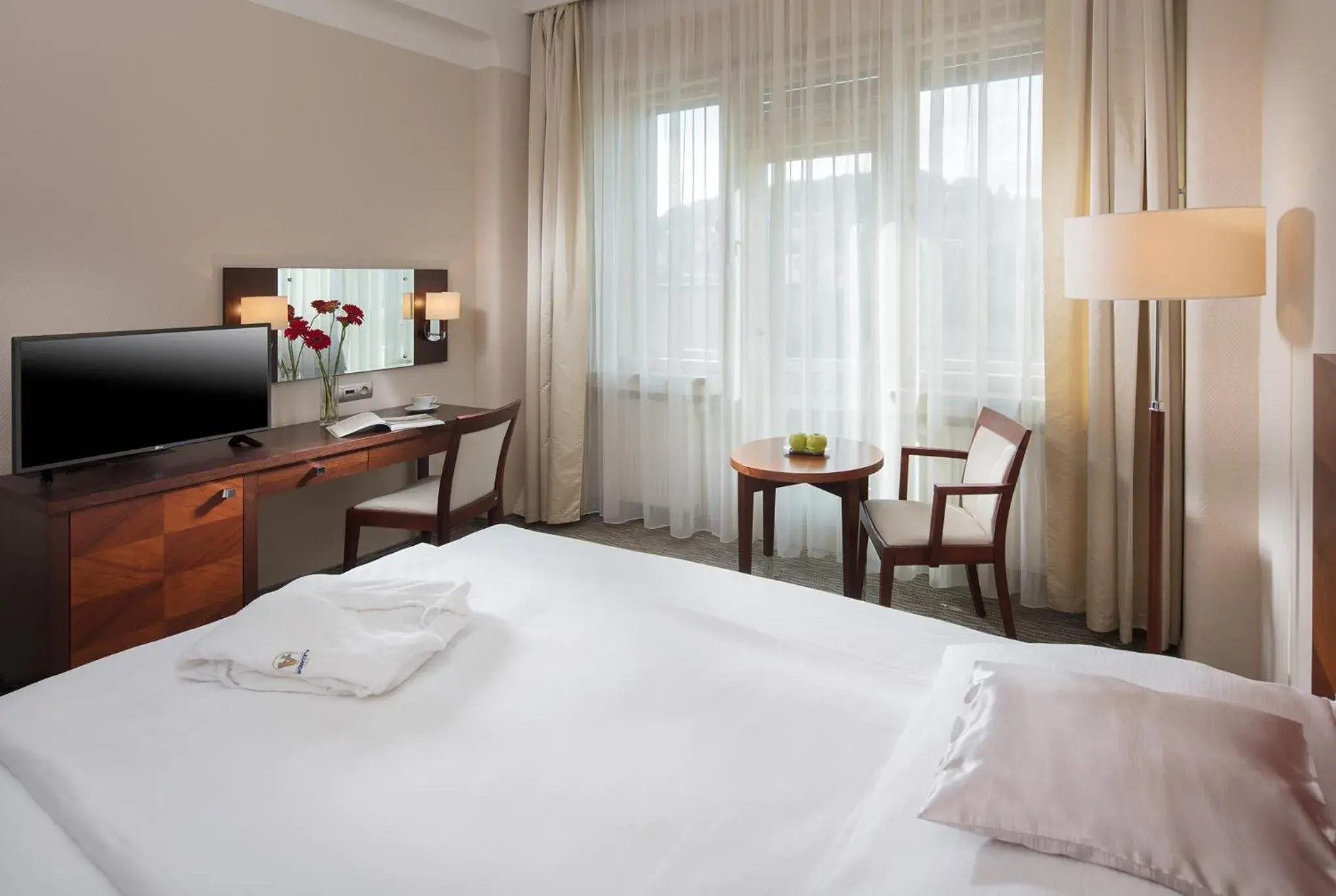 Single Room - single occupancy in Alexandria Spa & Wellness Hotel Single Room - single occupancy in Alexandria Spa & Wellness Hotel