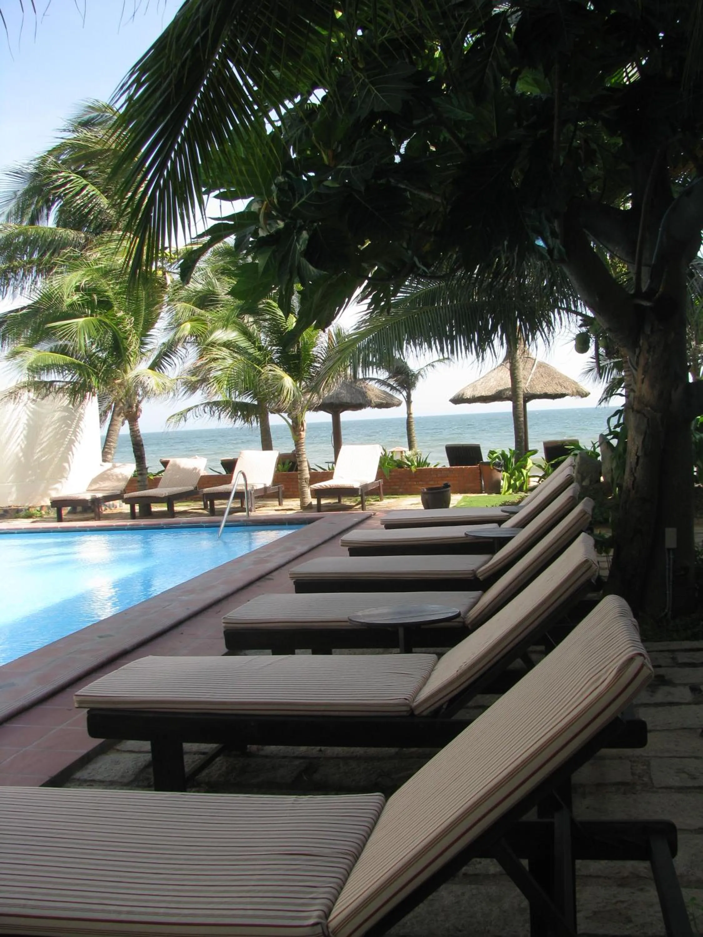 jardin des thes resort