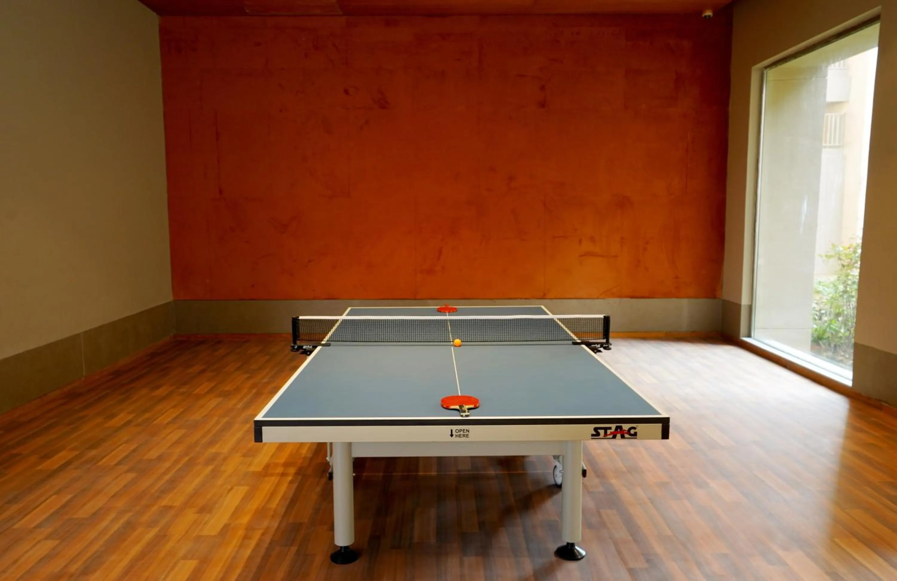 Table tennis in The Centrum