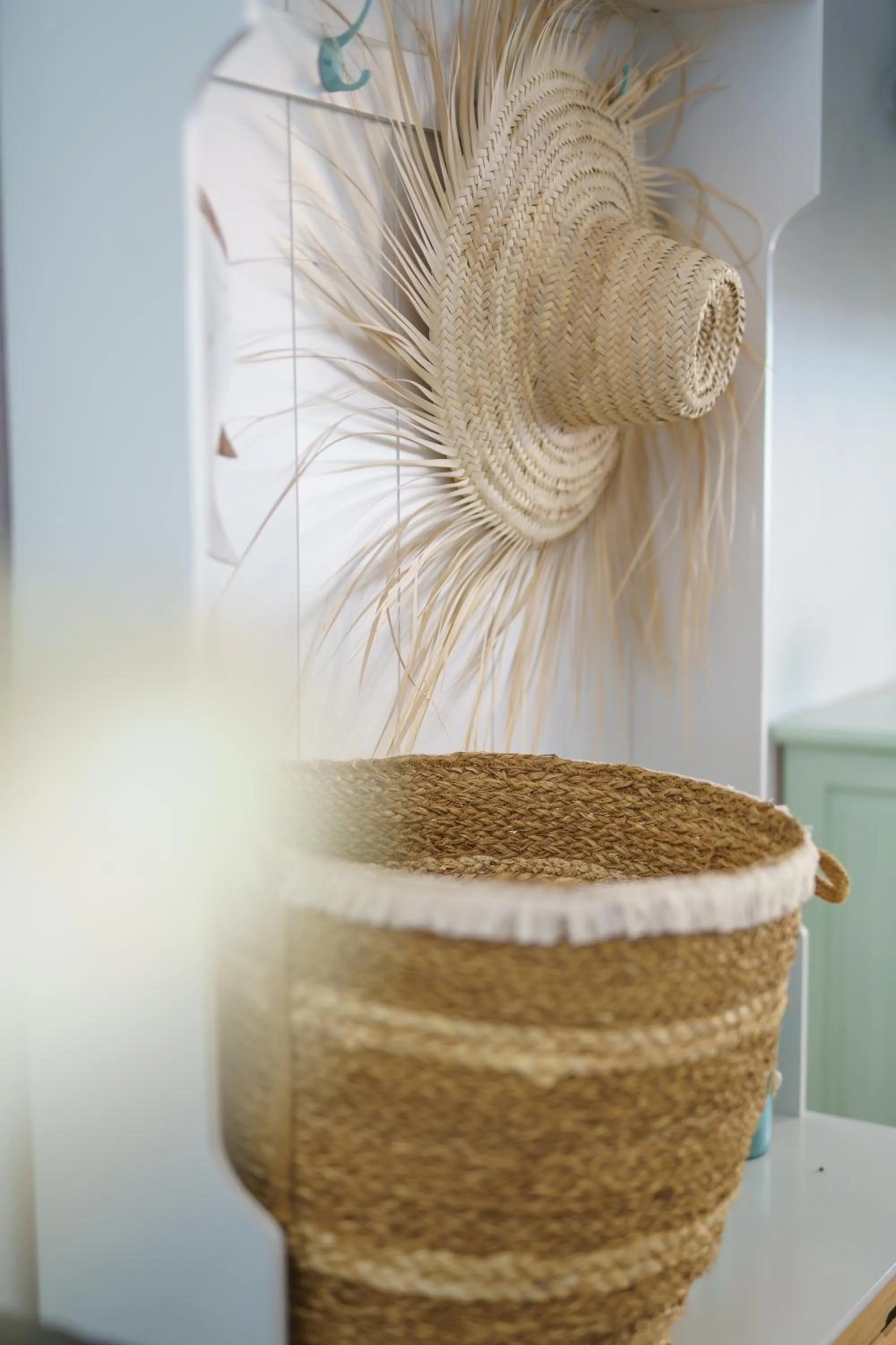 Area and facilities in Apartaments Andreas