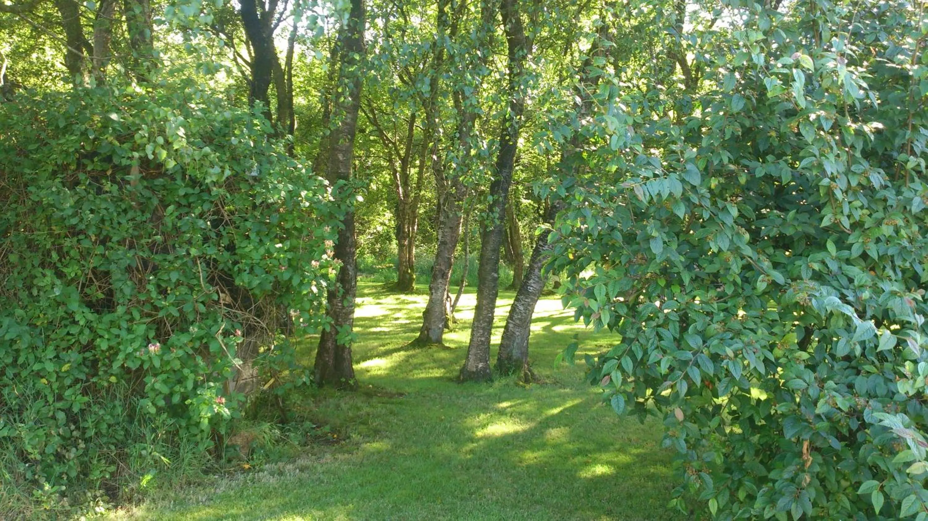 View (from property/room) in Glen Lodge