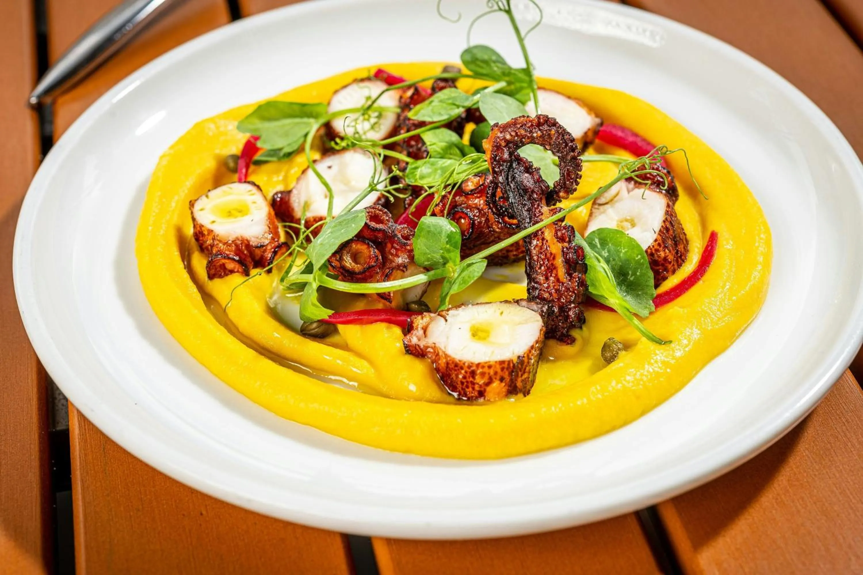 Restaurant/places to eat in W Nashville