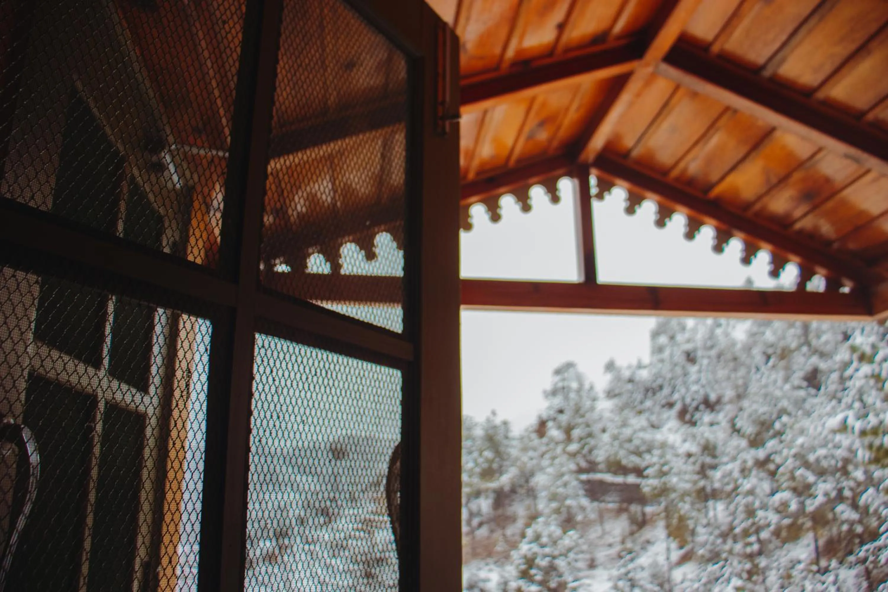 Balcony/Terrace in THEHIMALAYANLIVING WHISTLING PINES