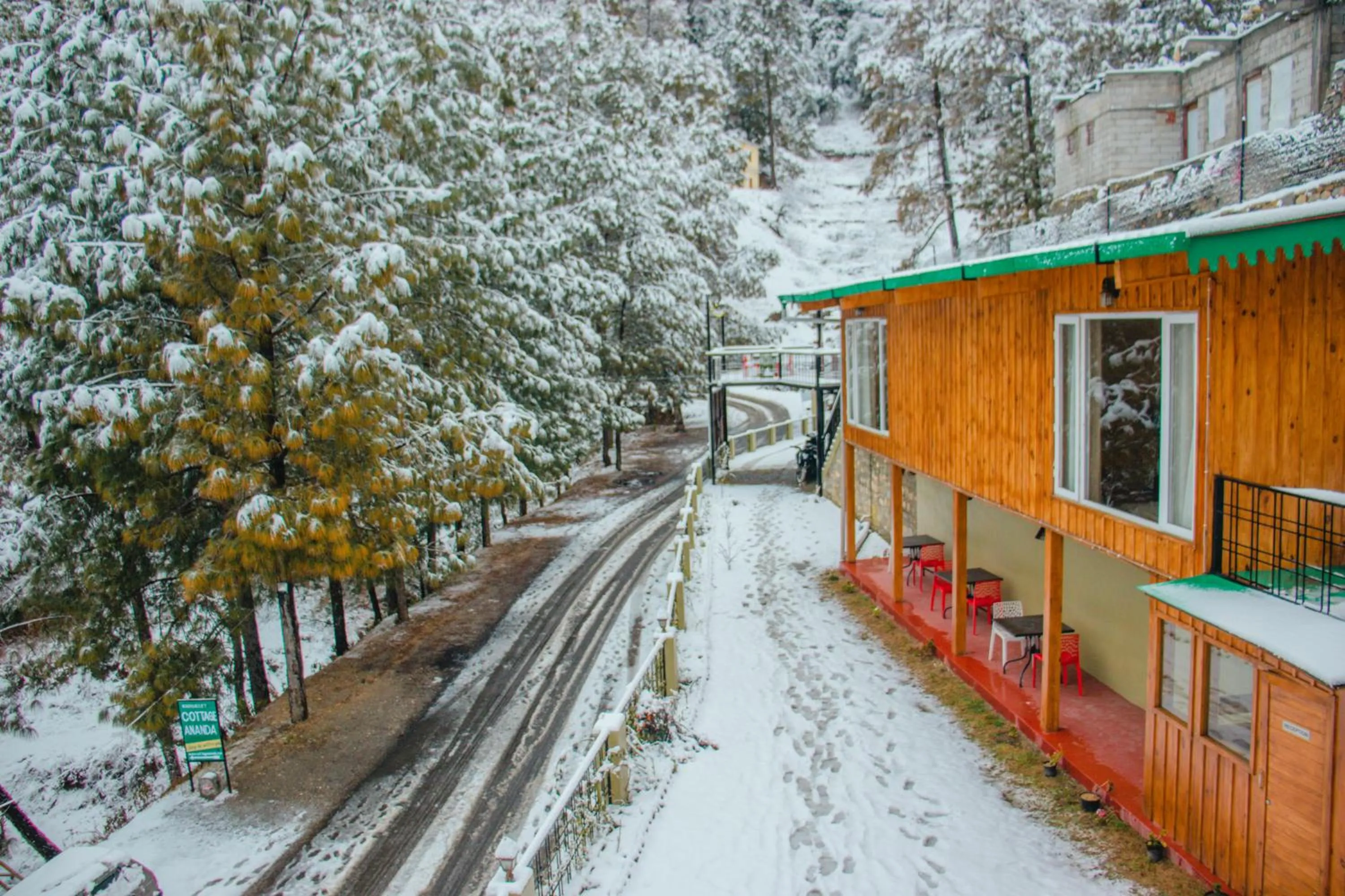 Winter in THEHIMALAYANLIVING WHISTLING PINES