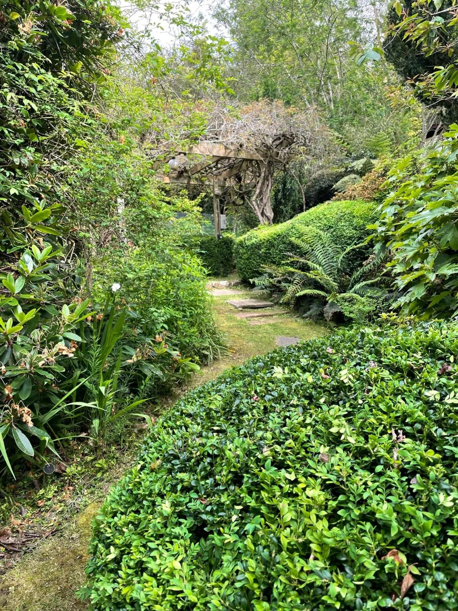 Natural landscape in Secluded Villa with Lush Gardens, Spa and Fireplace