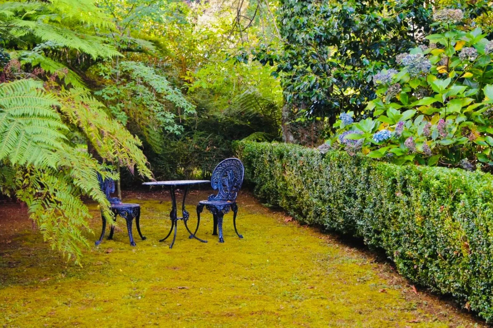 Garden in Secluded Villa with Lush Gardens, Spa and Fireplace