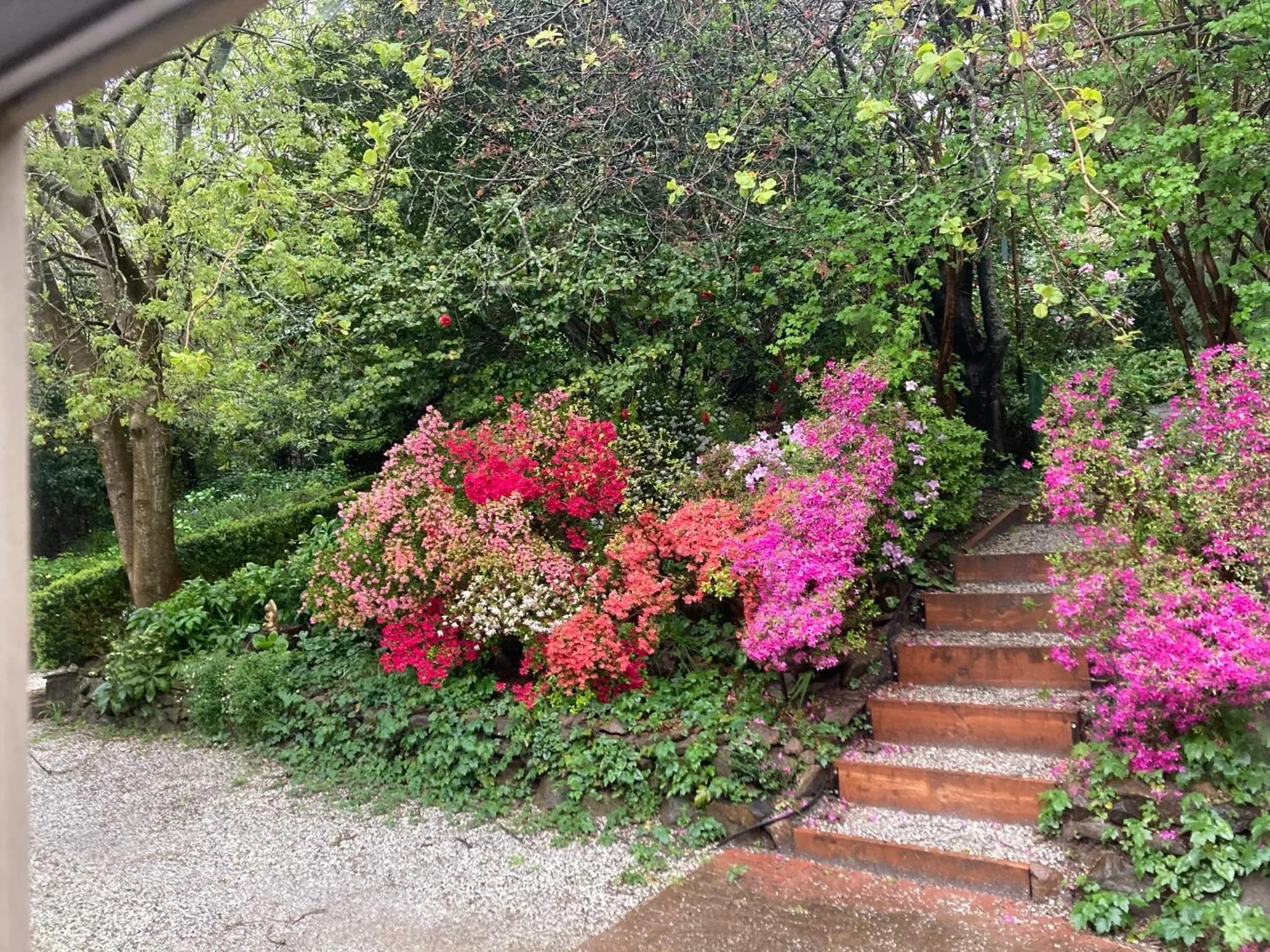 Garden in Secluded Villa with Lush Gardens, Spa and Fireplace