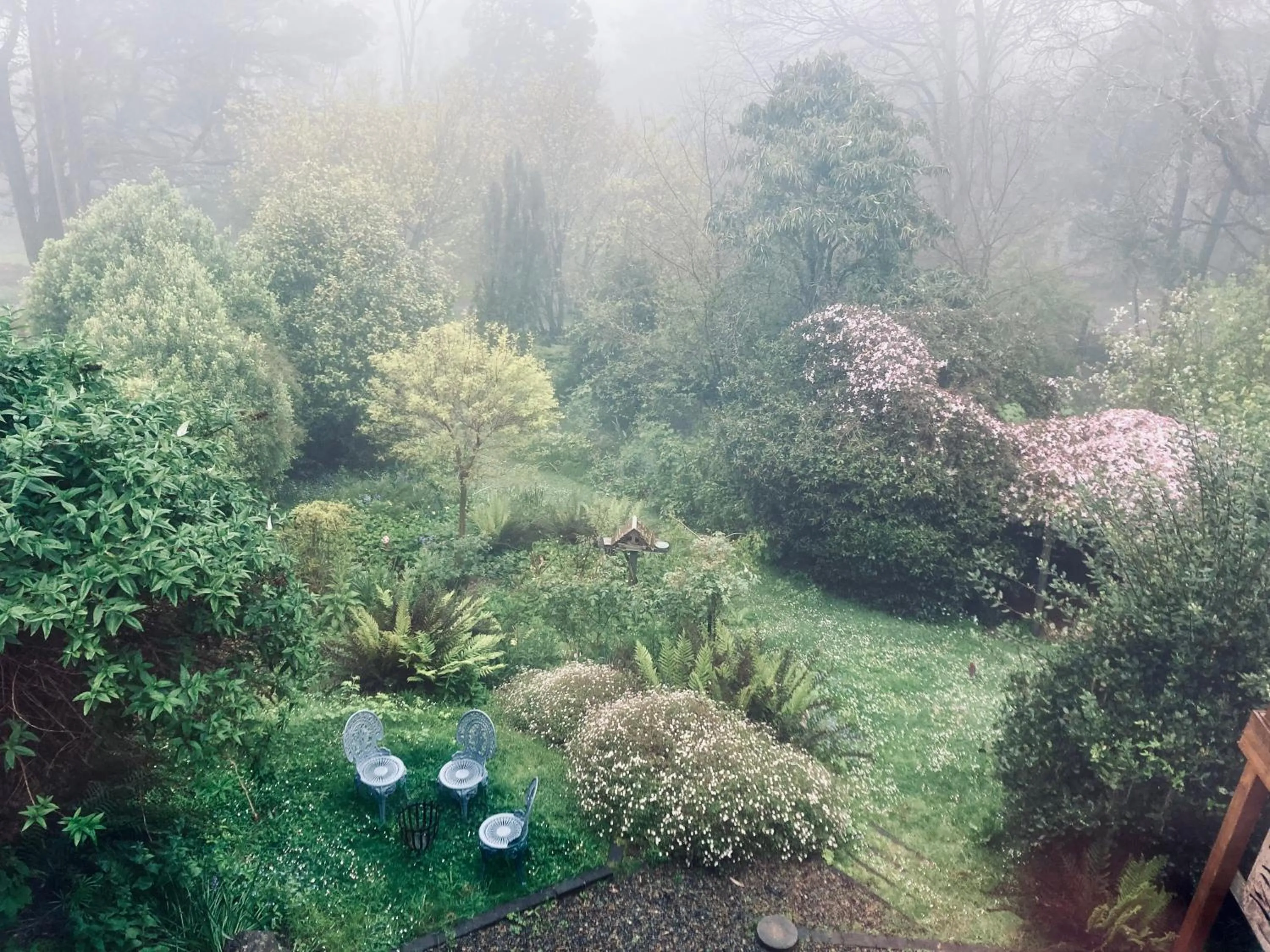 Garden in Secluded Villa with Lush Gardens, Spa and Fireplace