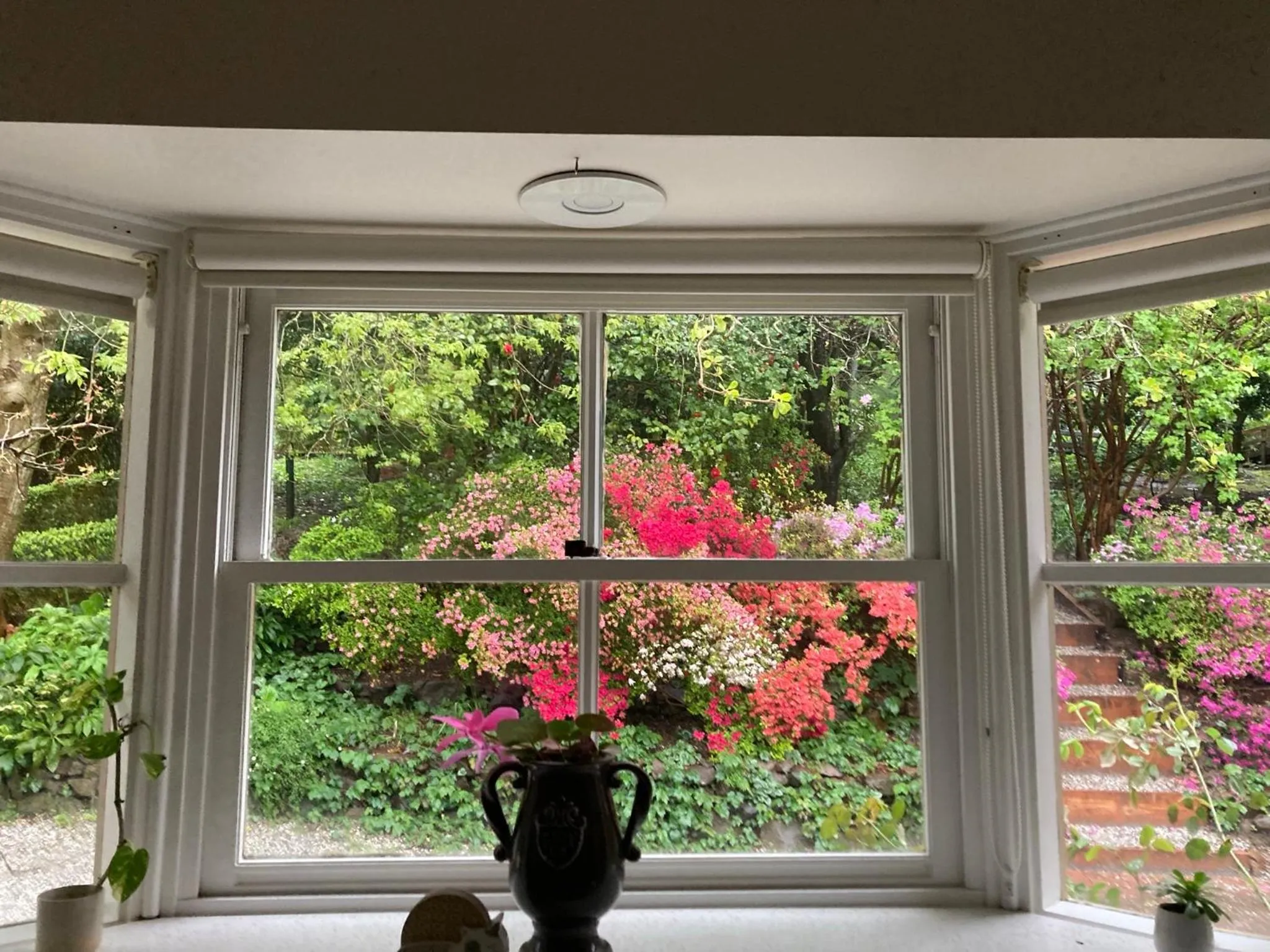 Garden view in Secluded Villa with Lush Gardens, Spa and Fireplace