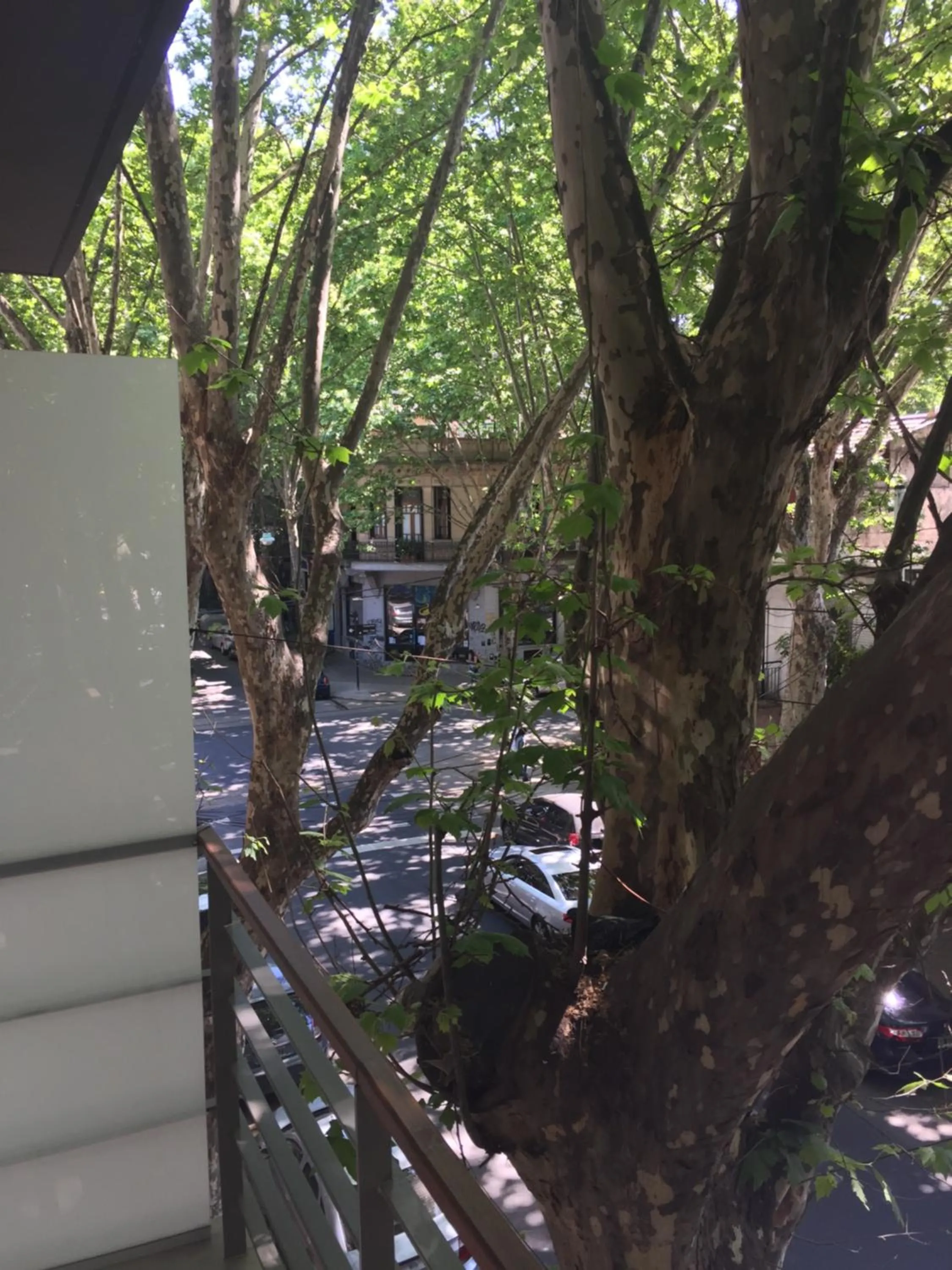 Street view in Bue Apartments
