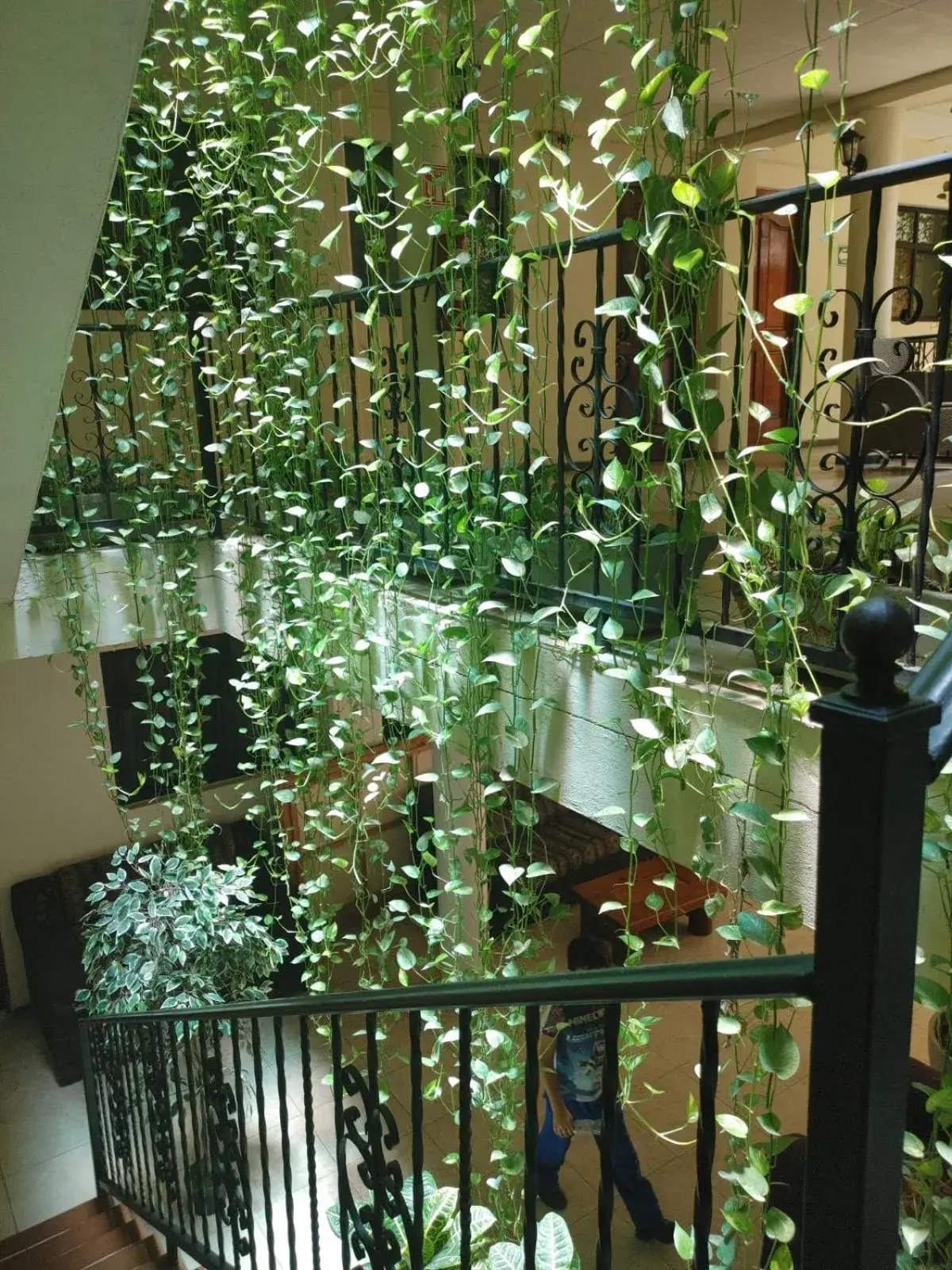 Garden in Hotel Tradicional Savaro SA de CV Garden in Hotel Tradicional Savaro SA de CV