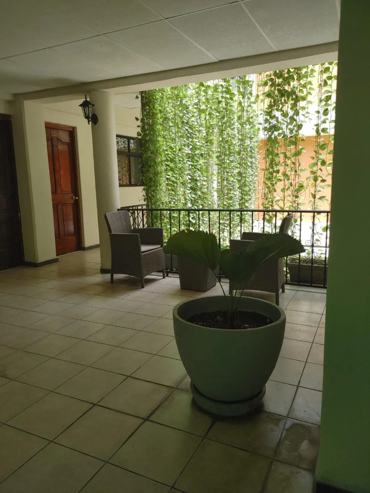 Garden in Hotel Tradicional Savaro SA de CV